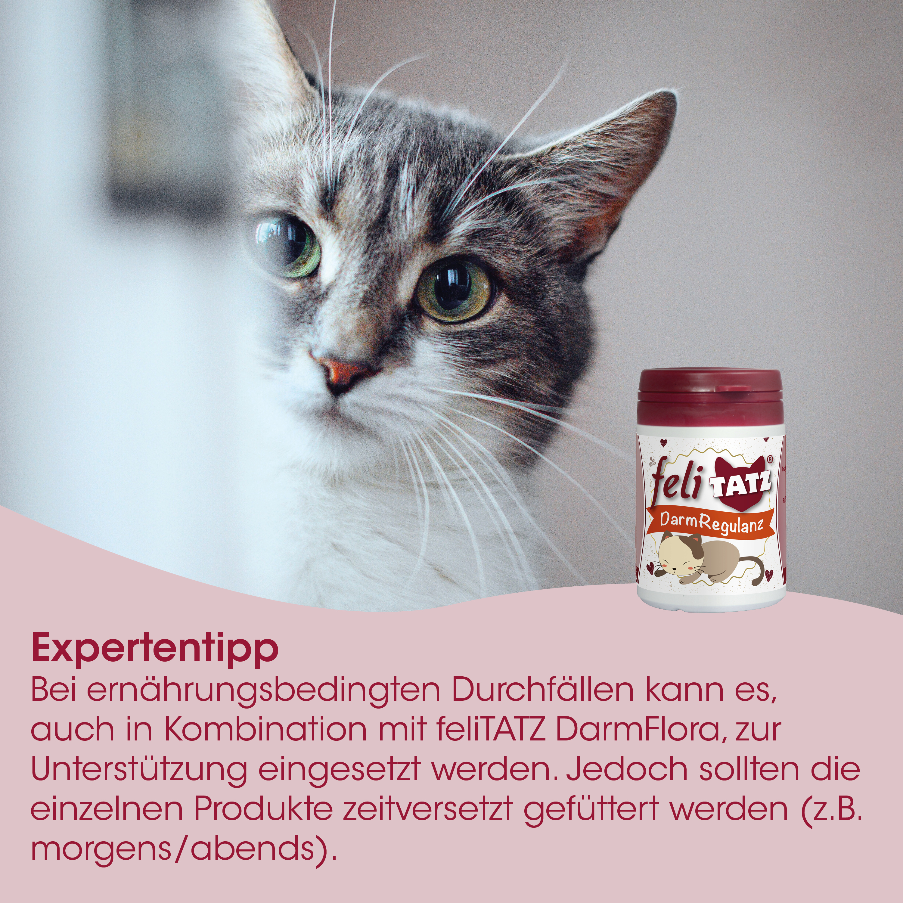 feliTATZ DarmRegulanz 50 g