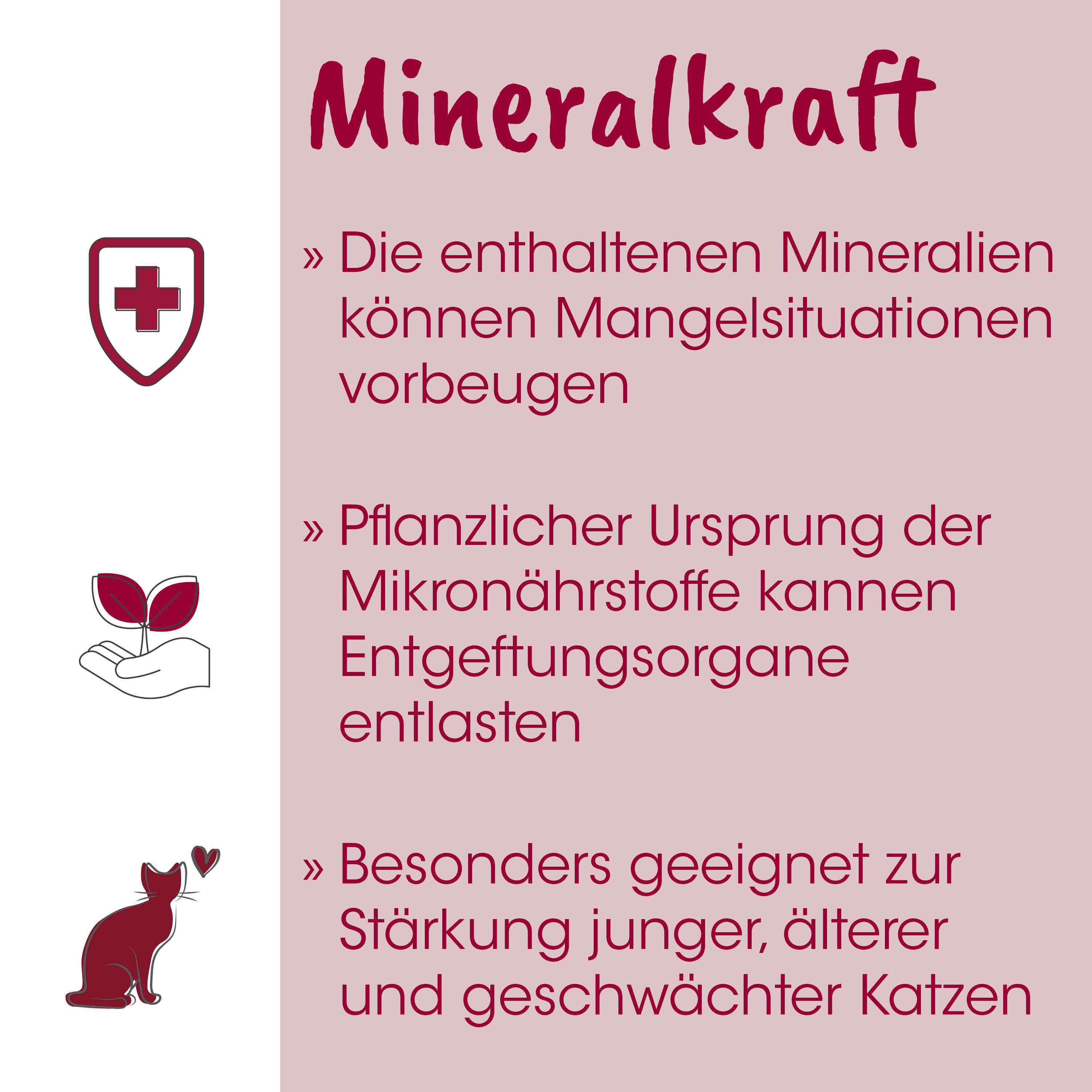 poster, mineralstoff, pflanzlich, logo, katze