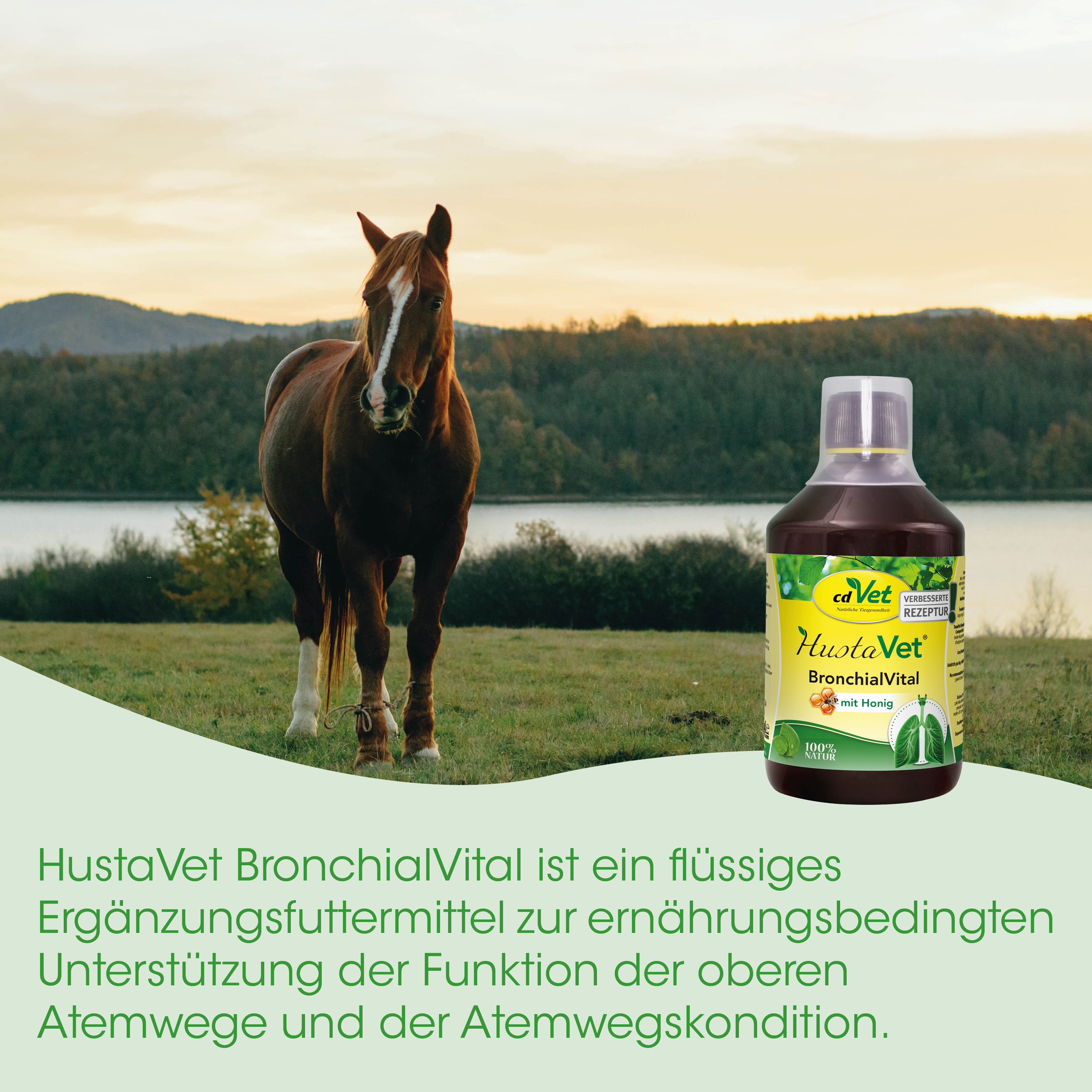 pferd, weide, flüssiges supplement, flasche, bronchialVital