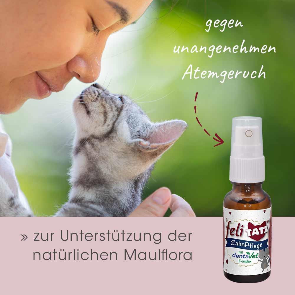 Shopbild