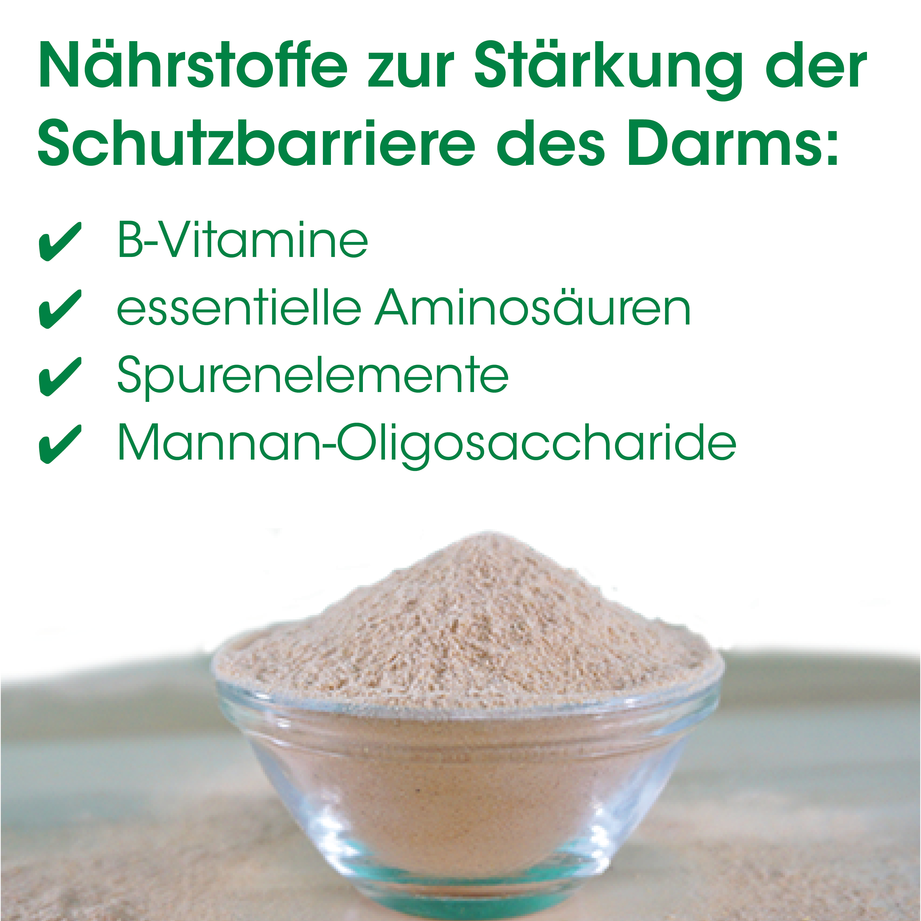 Nährstoffe, Schutzbarriere, Darm, B-Vitamine, Aminosäuren