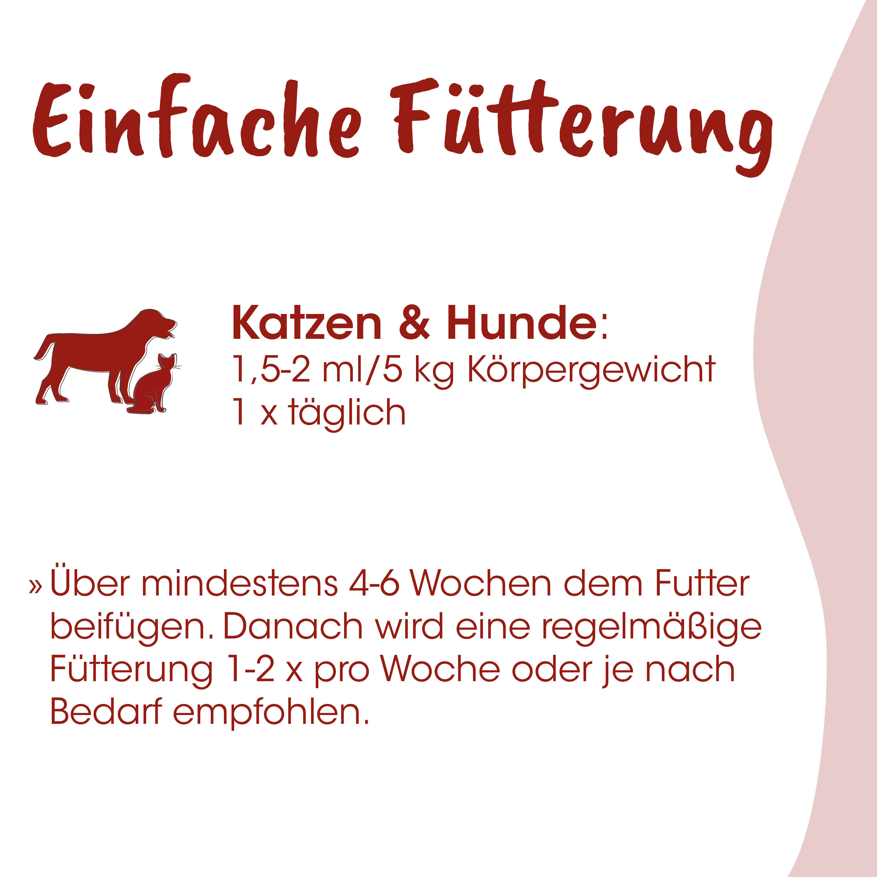 Fütterung, Katze, Hund, Tierfutter, Tipps