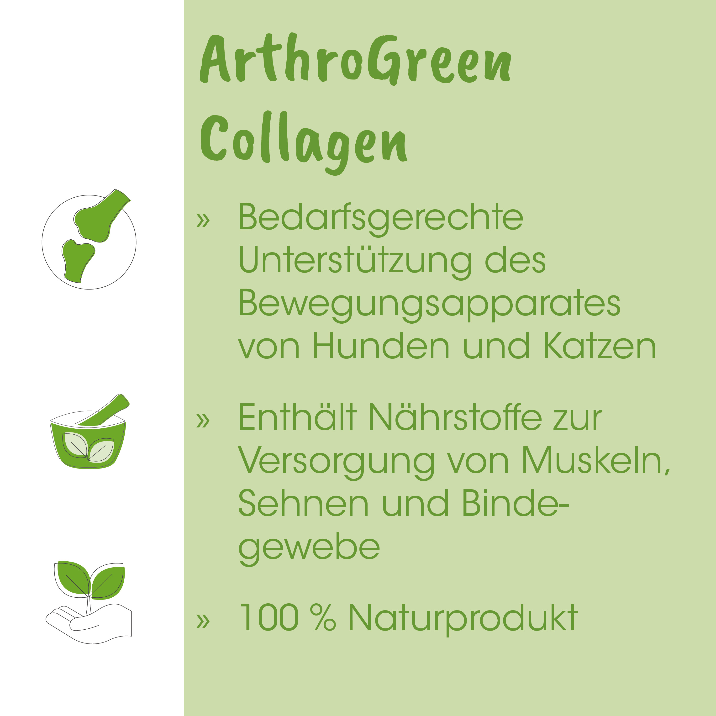 collagen, Knochen, grün, Schüssel, Pflanze Hand