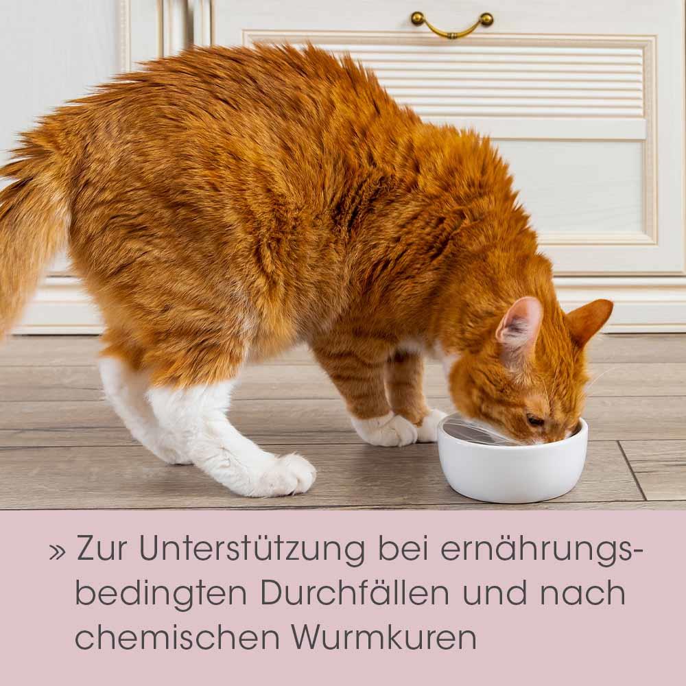 Shopbild
