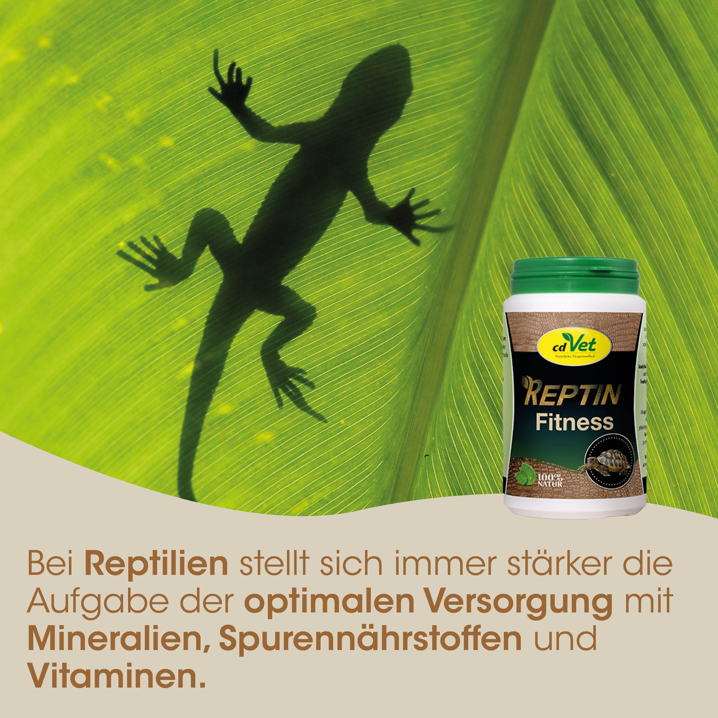 Reptilien-Ergänzung, Mineralvitamine, Fitness-Ergänzung, cVET, Tablettenflasche