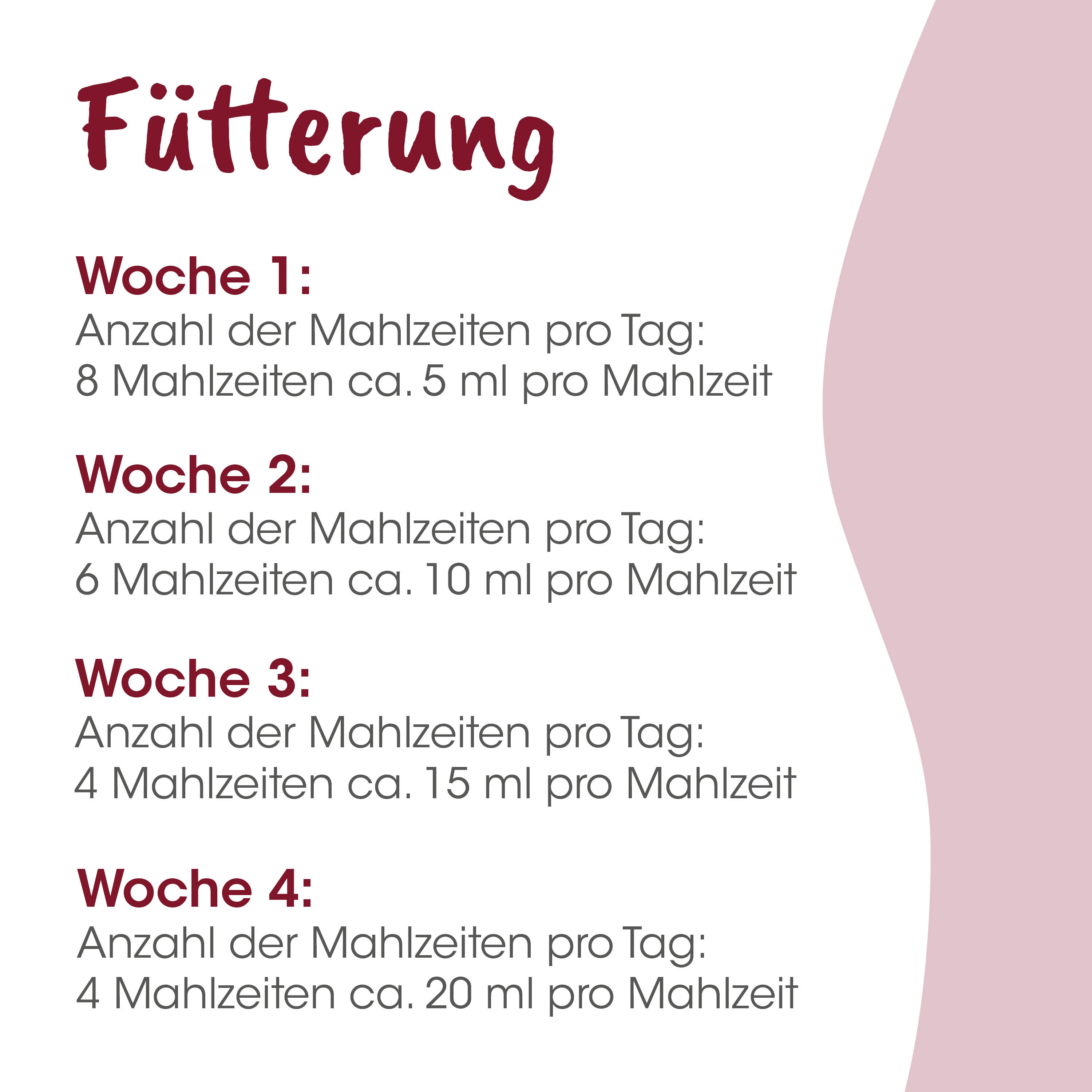 Fütterung, Woche, Mahlzeiten, Kalender, Diätplan