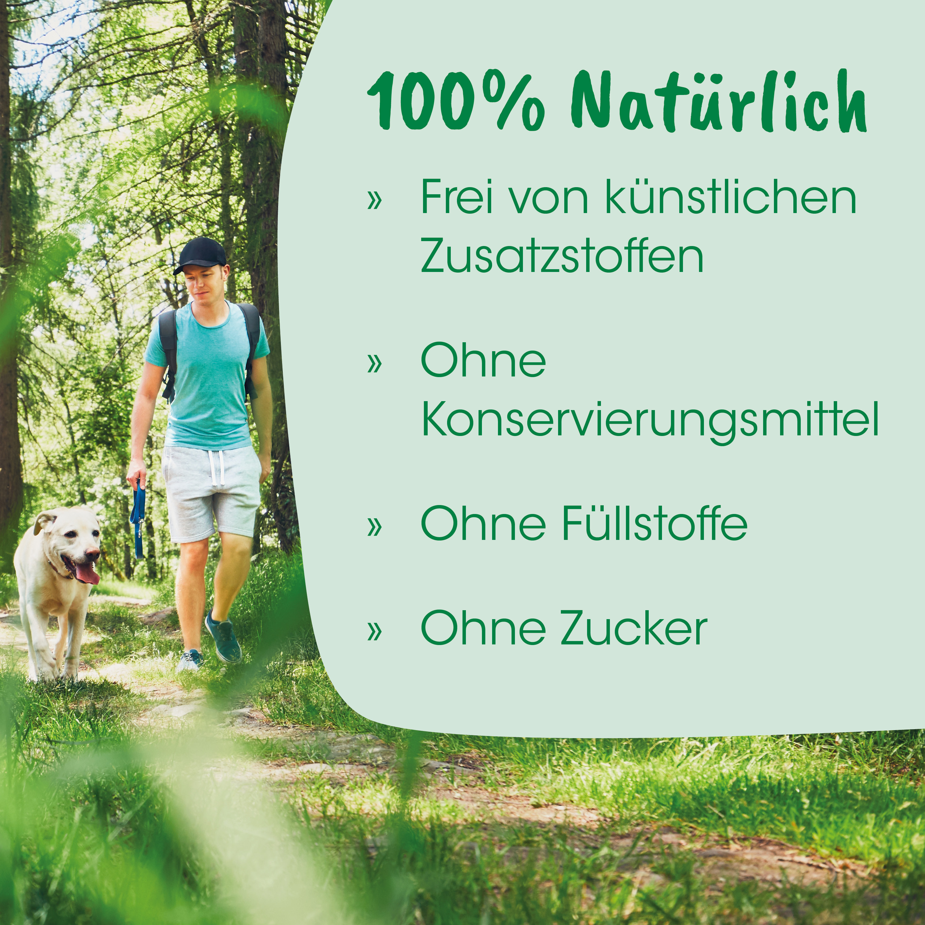 Hund, Leine, Outdoor, Sommerkleidung, T-Shirt