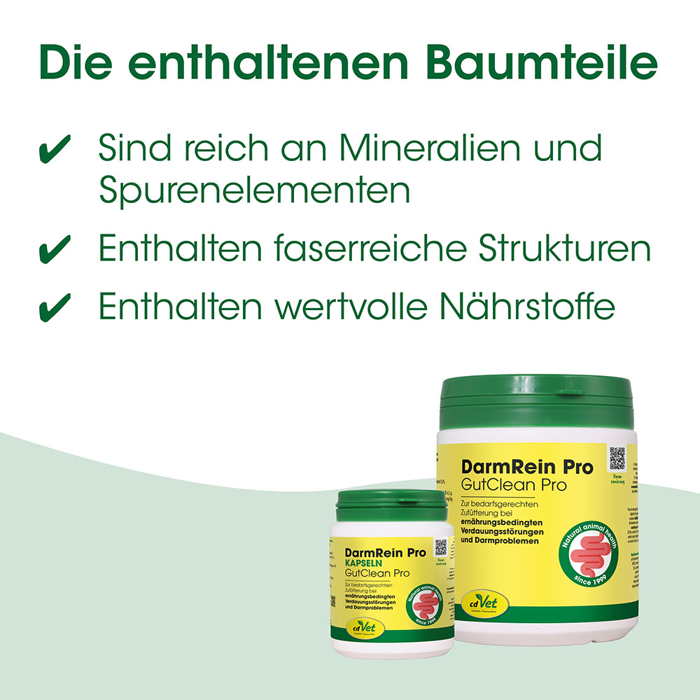 Darmrein Pro, Kapseln, GutClean Pro, Darmgesundheit, Nahrungsergänzungsmittel
