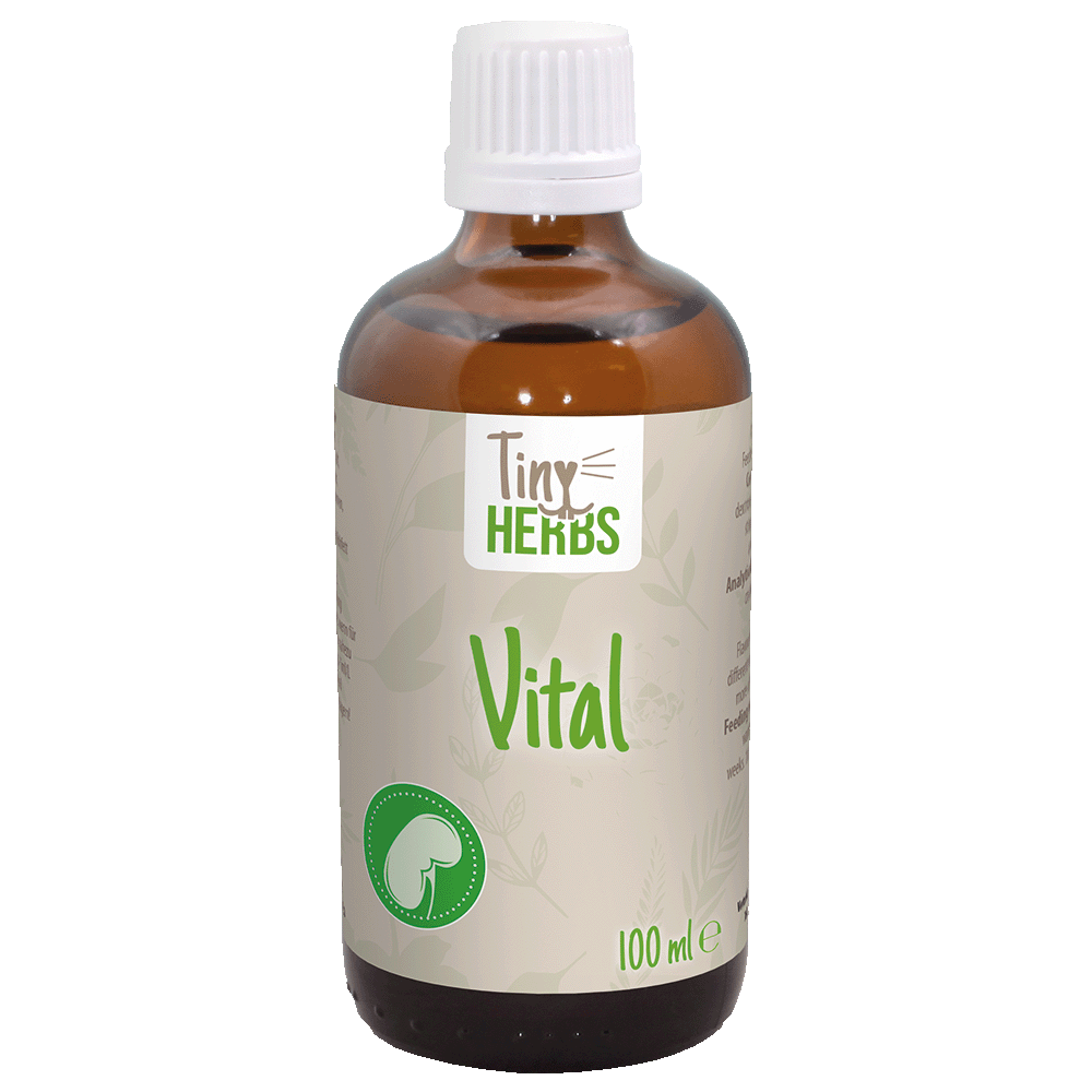 Vital, Kräuter, Tropfen, 100 ml, Flasche