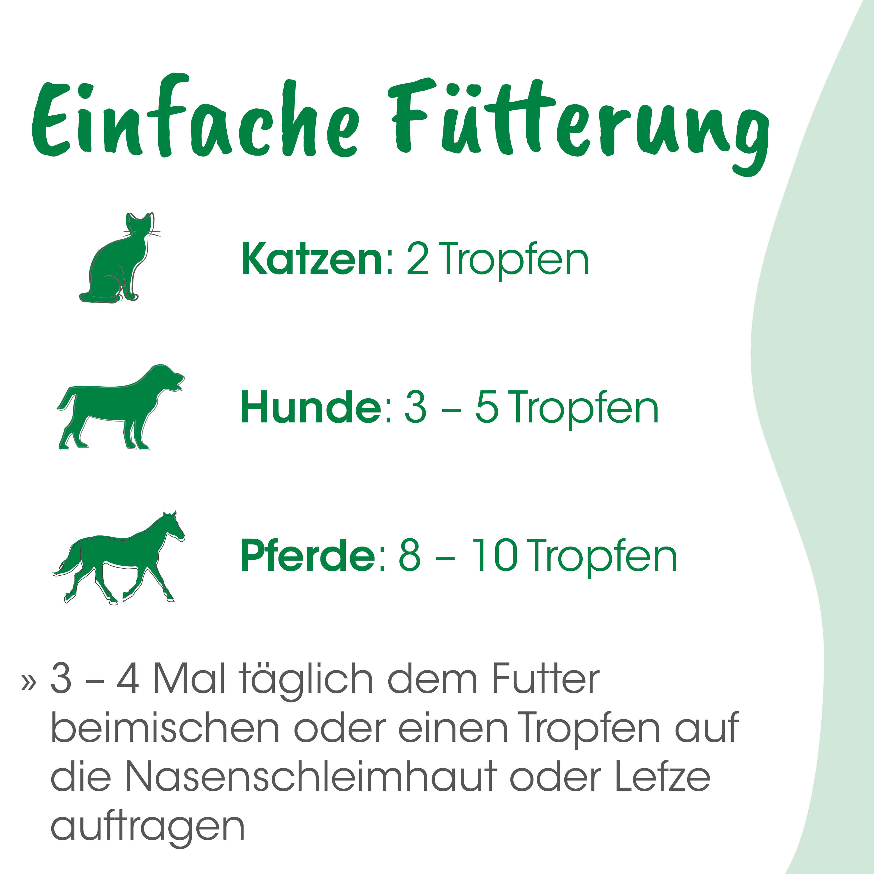 poster, Katze, Hund, Pferd, grün
