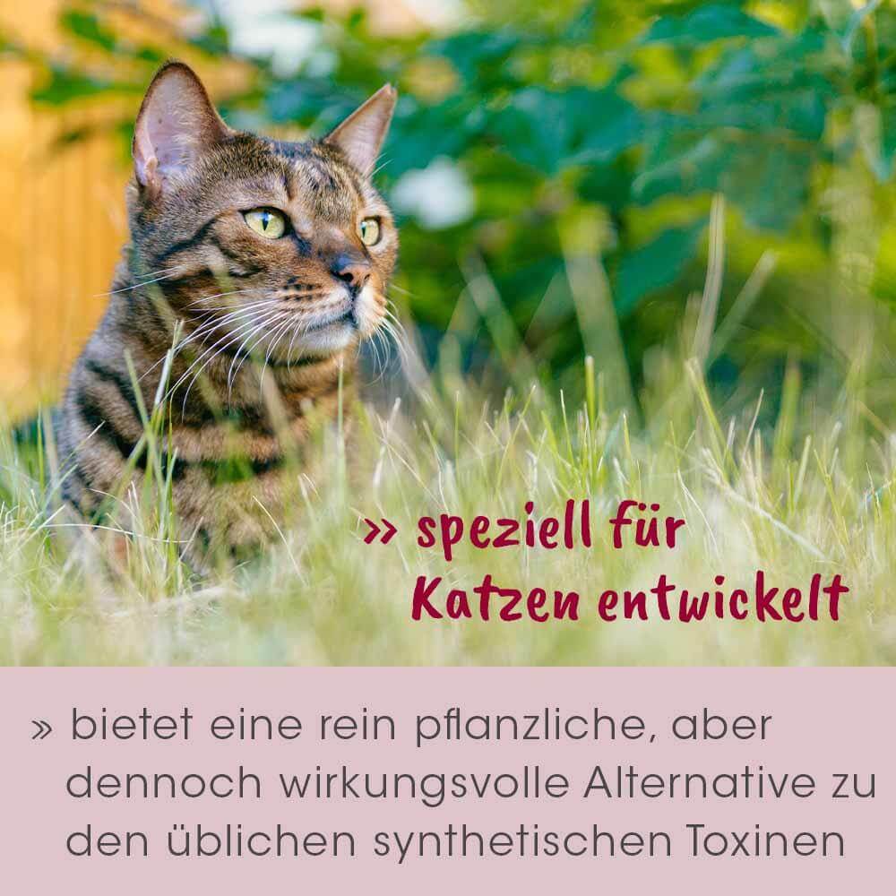 feliTATZ AbwehrKonzentrat 50 ml