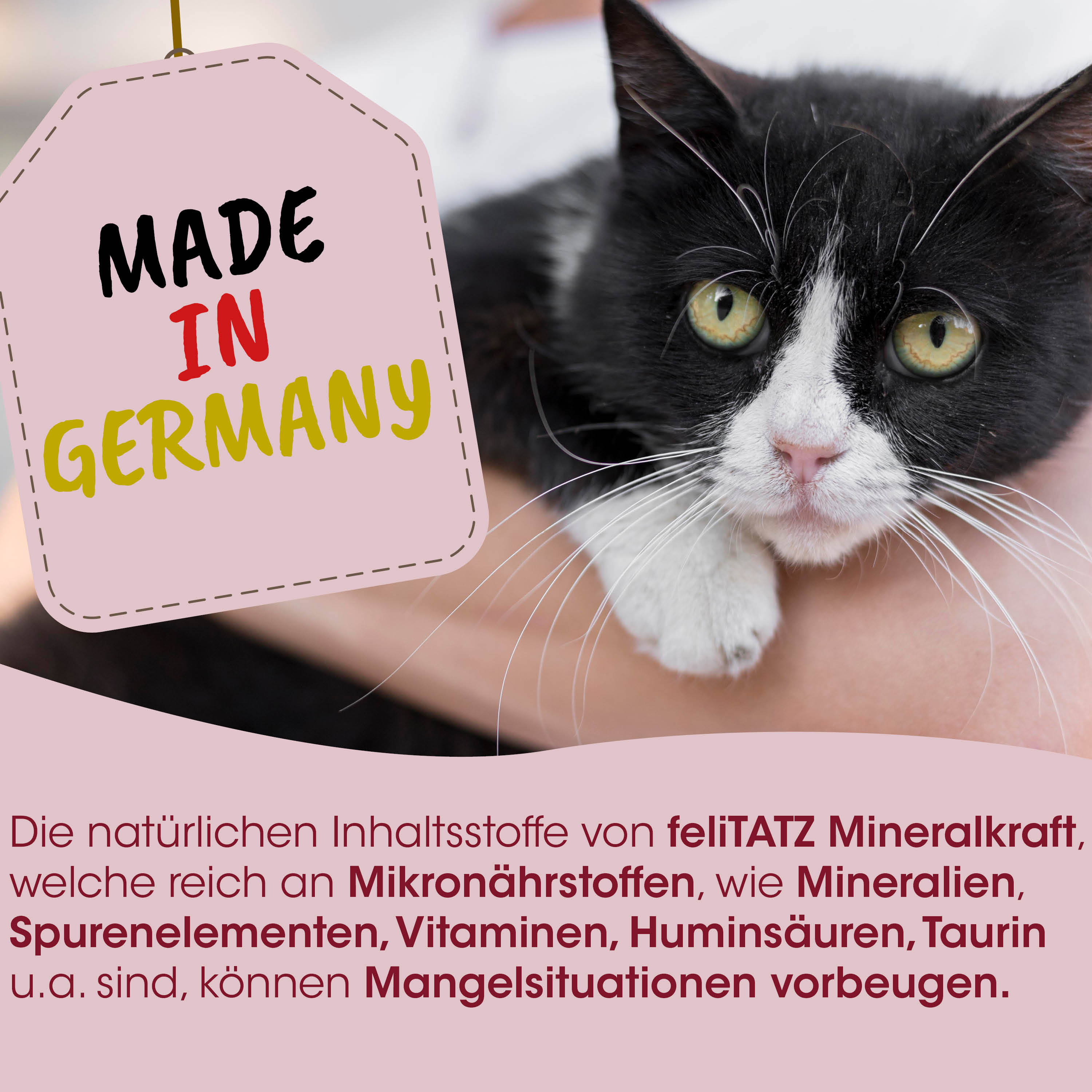 Katze, Tier, Schwarz-Weiß, Etikett, Hergestellt in Deutschland