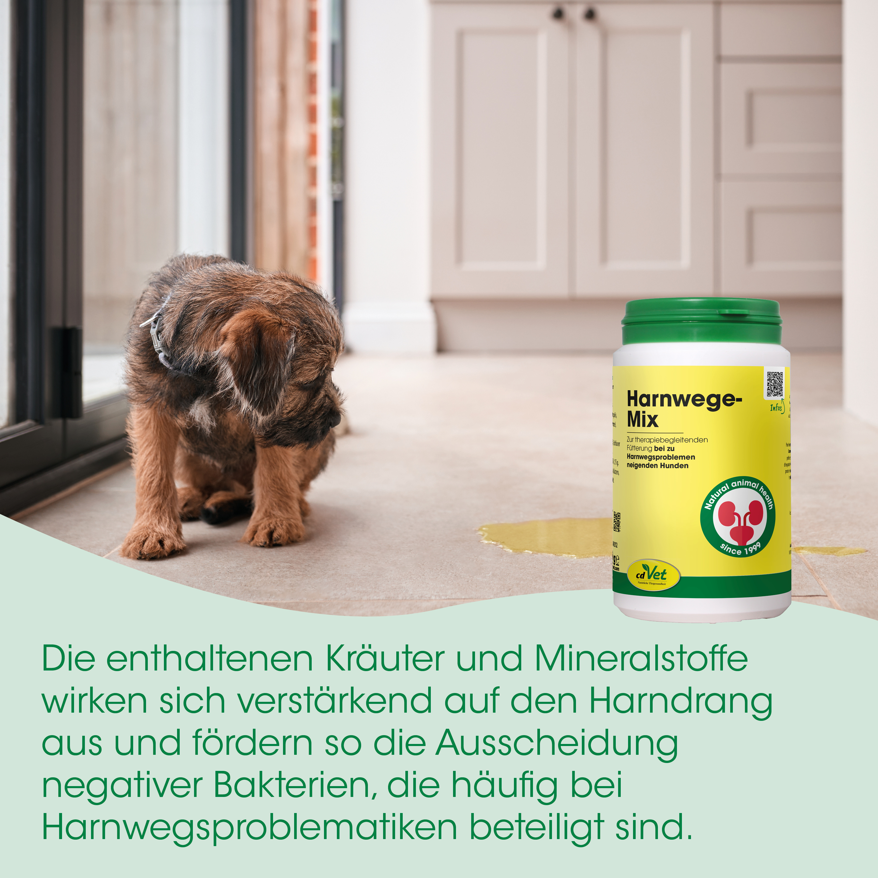 Hund, Hundemittel, Harnwegs-Mix, Kräuter, Minvetalim
