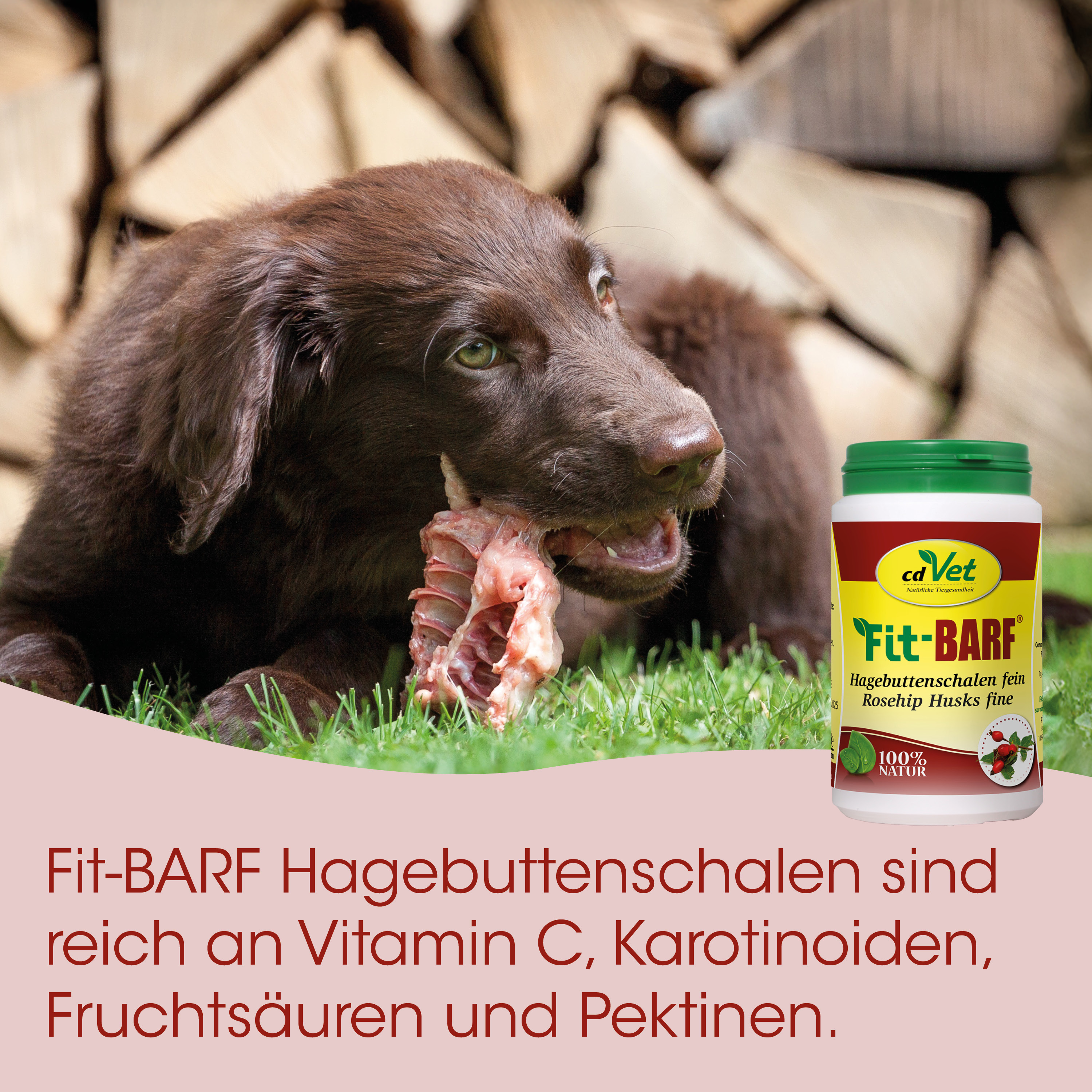 Hund, Kauartikel, Knochenknabbern, Hagebuttenschalen, Vitamin C