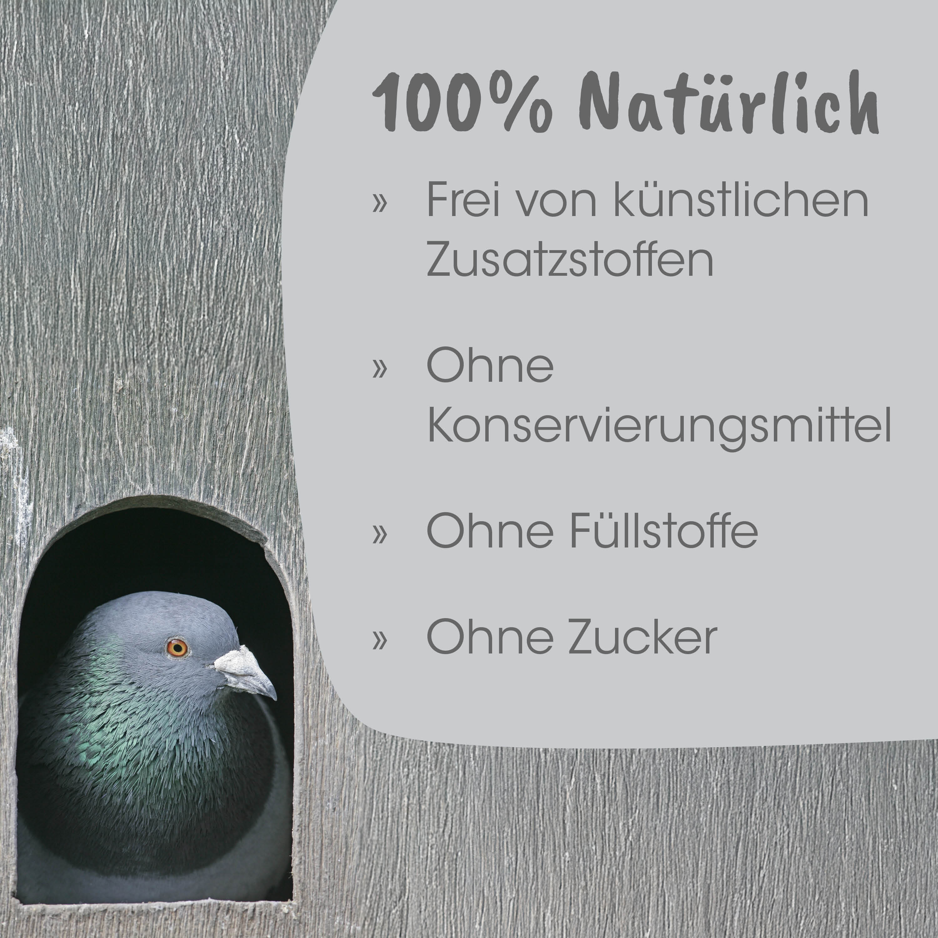 Taube, Taubenfarbe, Feder, Holz, Einfache Verpackung