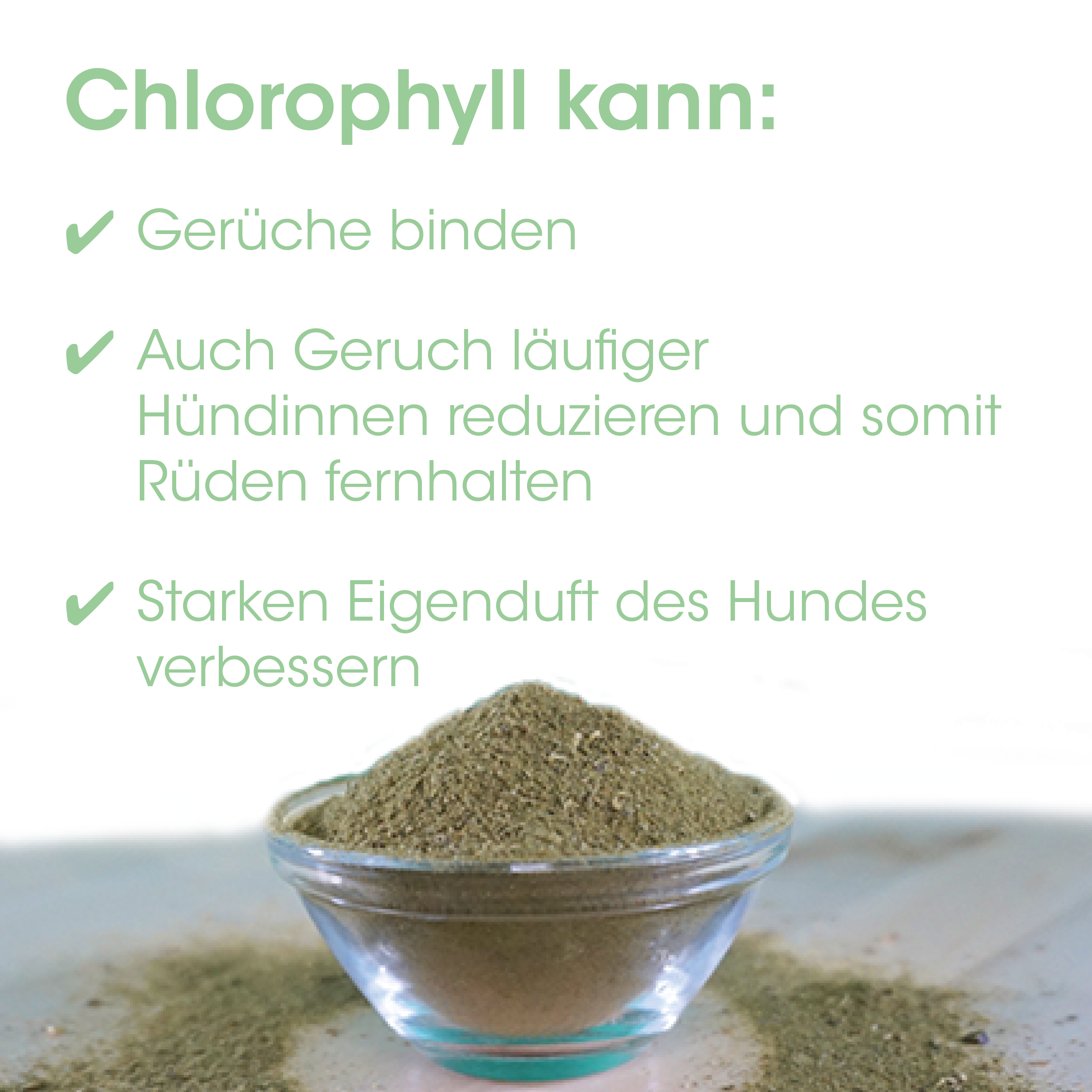 Kreuzkümmel, Gewürzpulver, Grünbraun, Gewürz, Puder