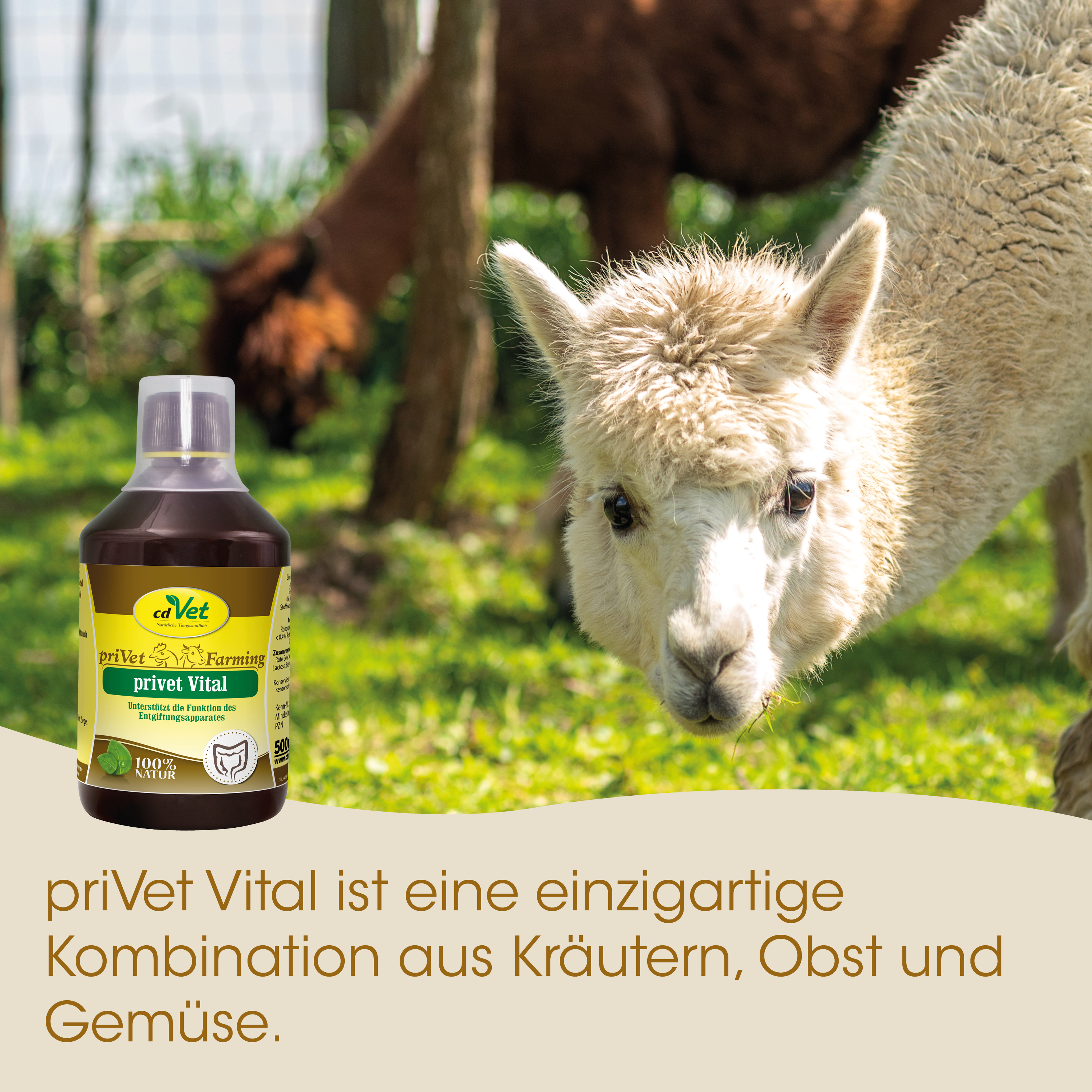 Lama, Kräuterfutter, Futterflasche, Tierbedarf, Naturprodukt