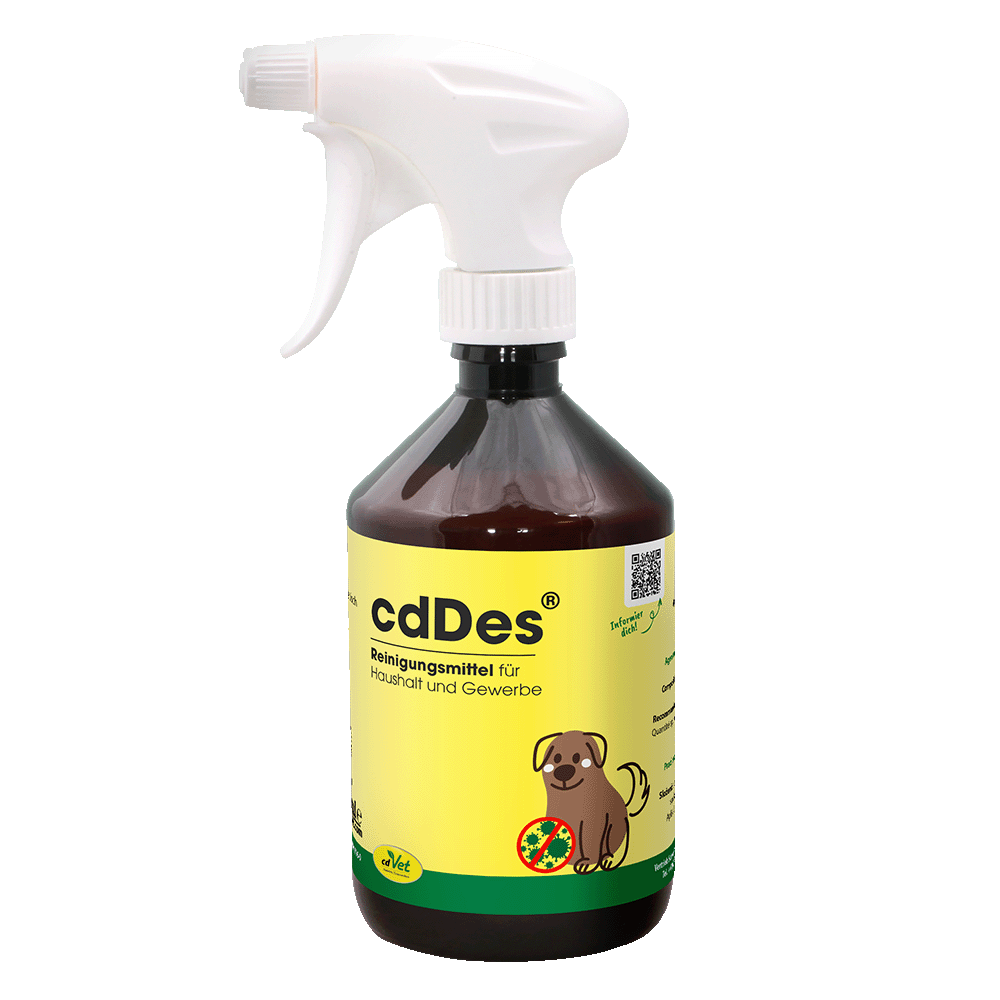 cdDes 500 ml mit Sprühkopf cdDes 500 ml mit Sprühkopf