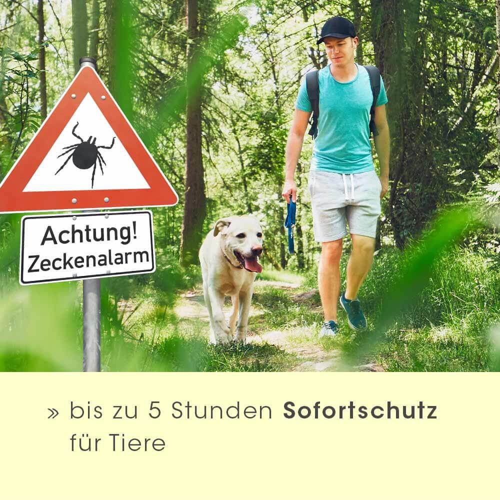 Shopbild