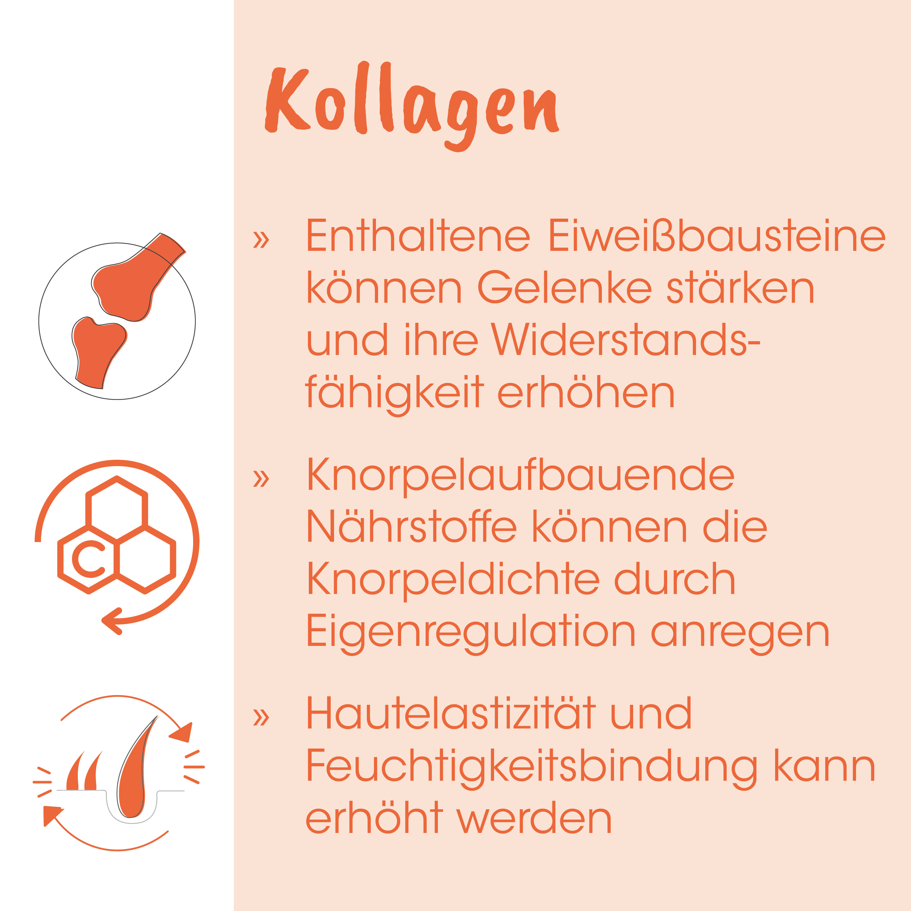 Kollagen, Eiweißbausteine, Gelenke, Nährstoffe, Hautfeuchtigkeit
