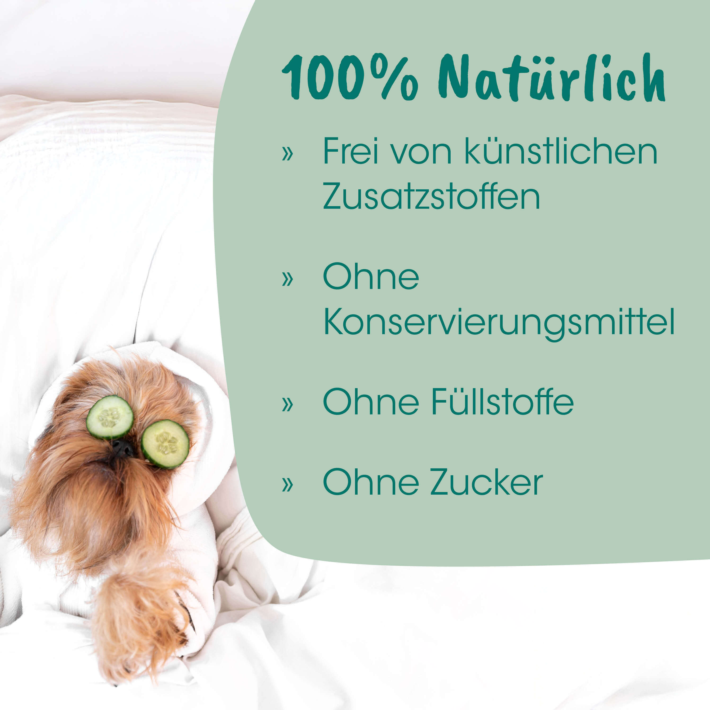 Hund, Käfig?