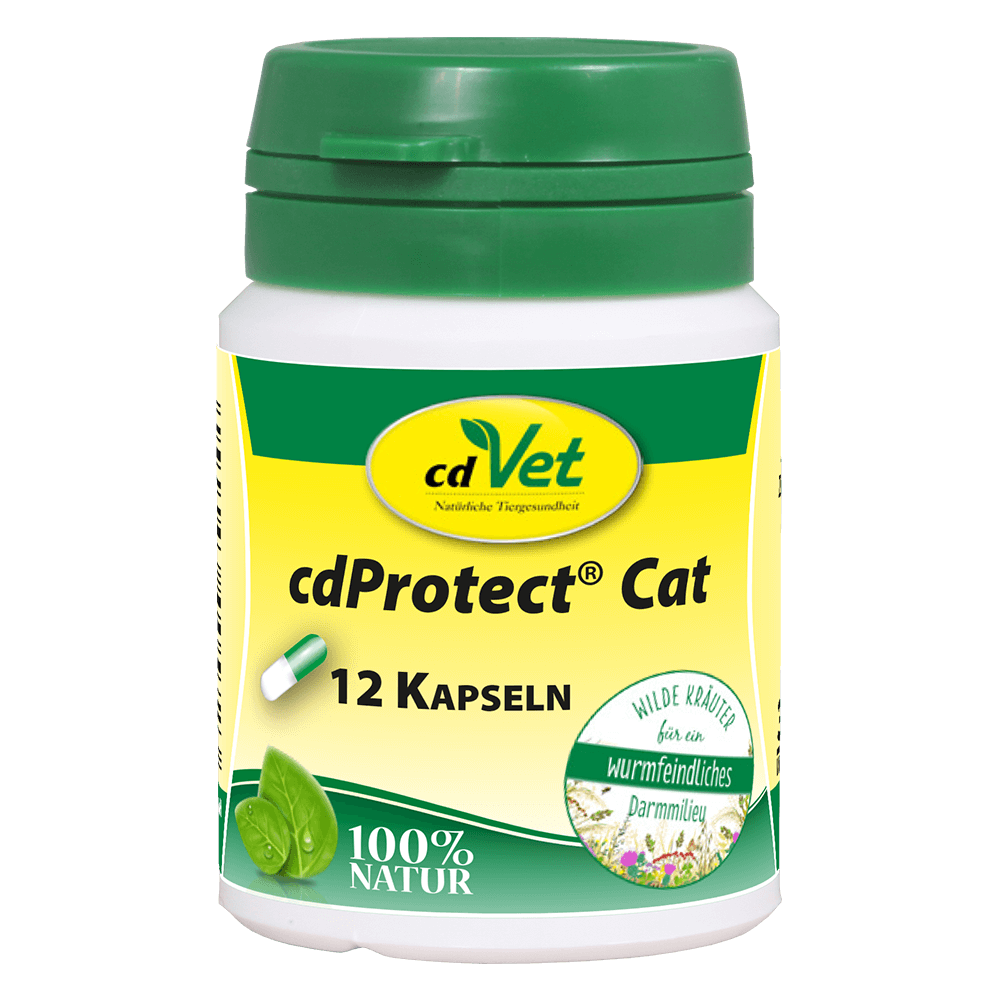 Shopbild cdProtect Cat 12 Kapseln