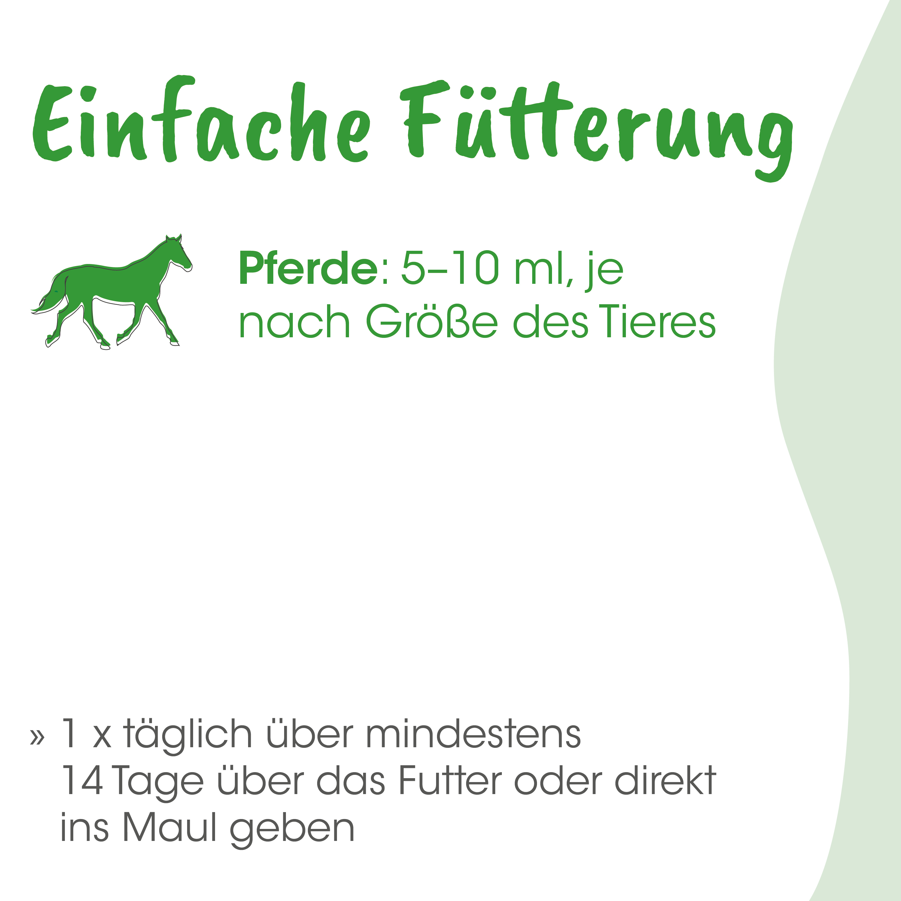Pferd, Futter, Futtermenge, Tierfutter, Pferdefütterung