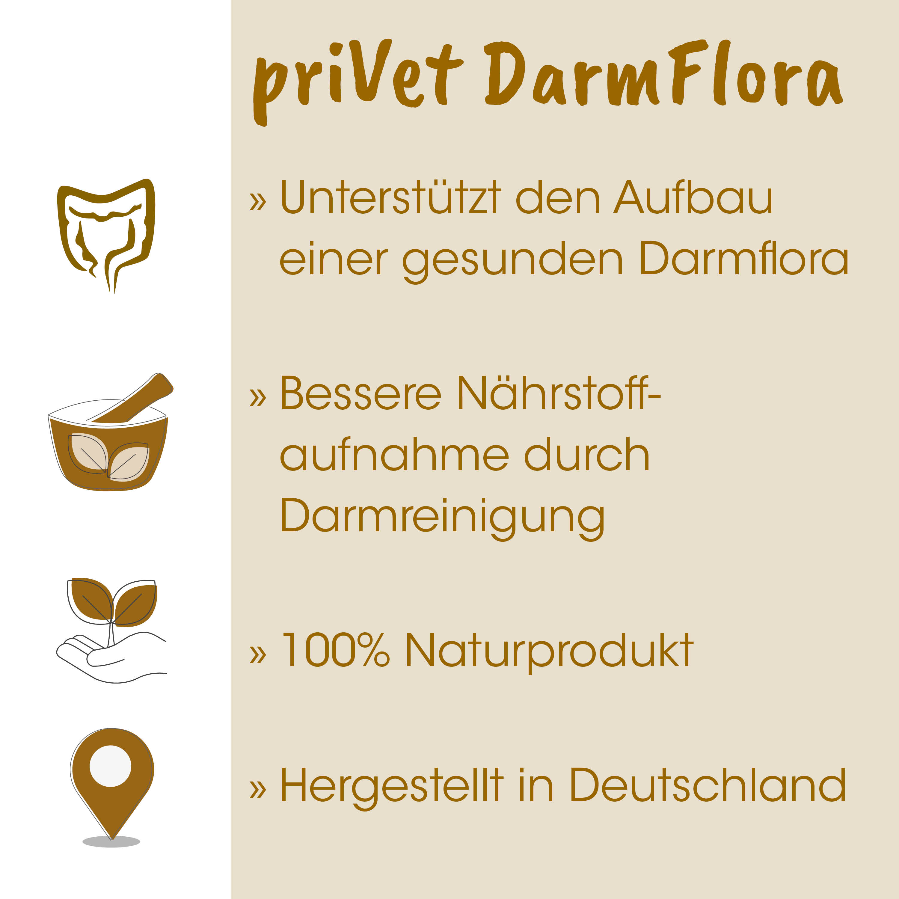 Darmflora, Nahrungsergänzung, Naturprodukt, Hergestellt in Deutschland, Vitamin-Biotics