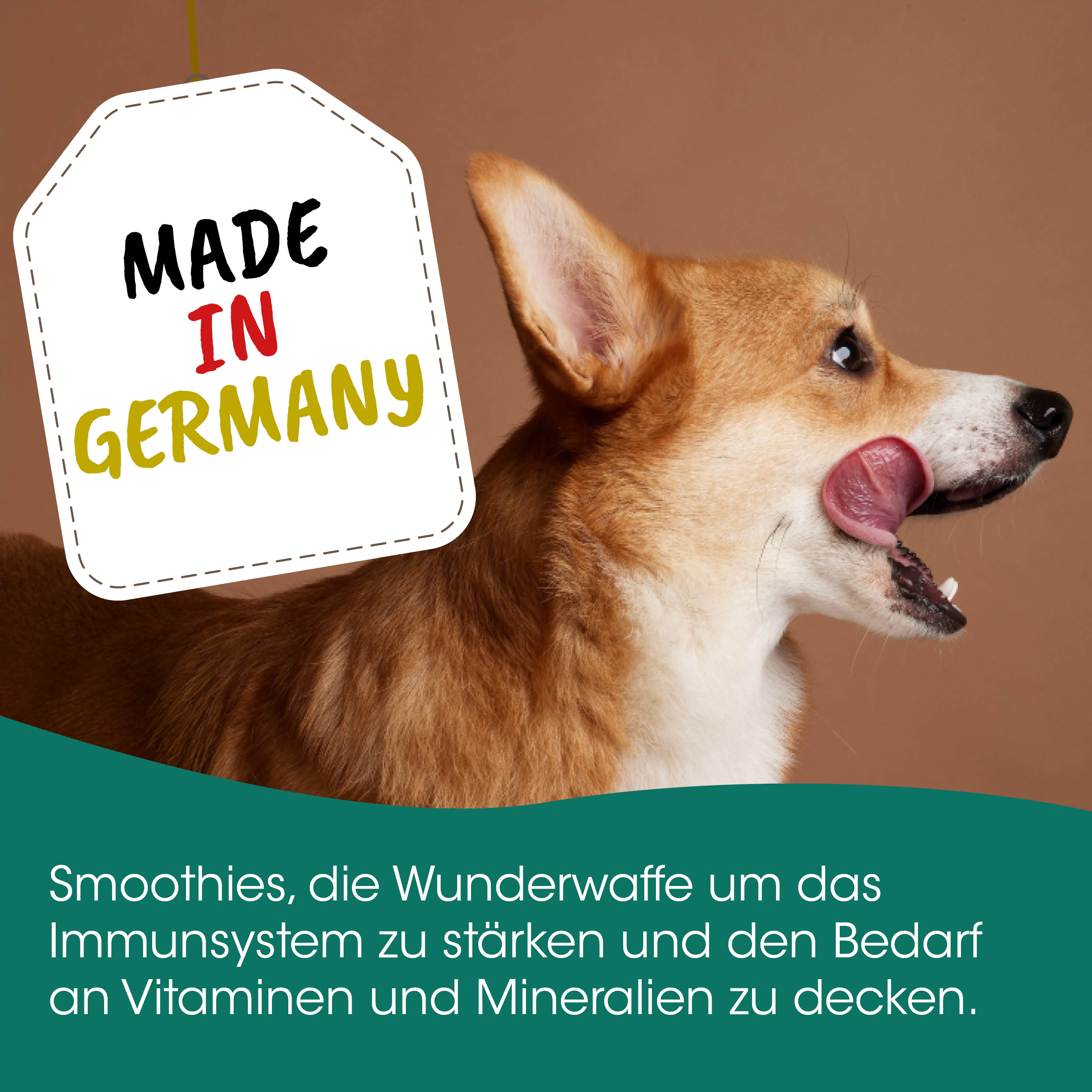 Hund, Krot, Tierposter, Deutschland, Made in Germany