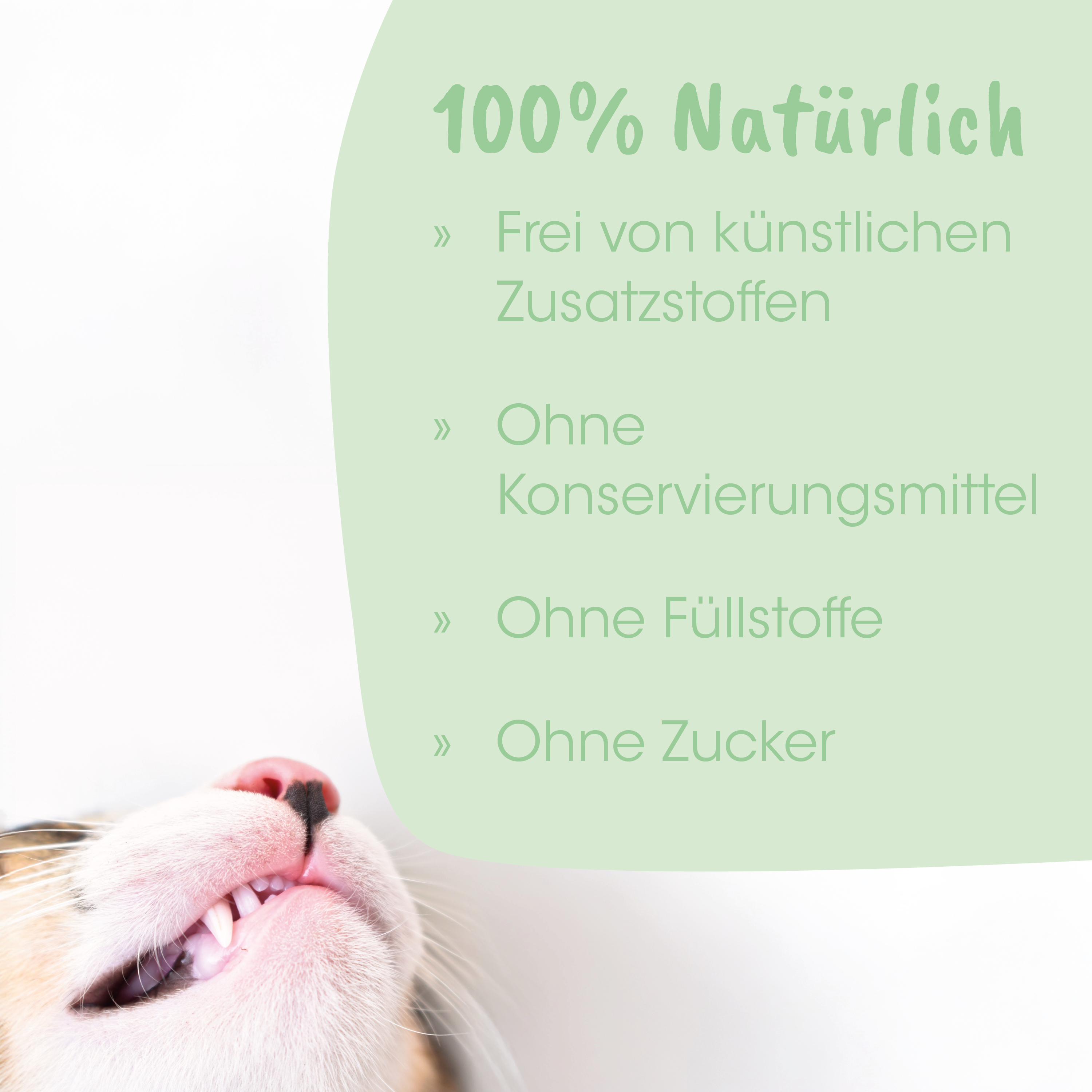 katze, katzenkopf, zähne, weiß, peach