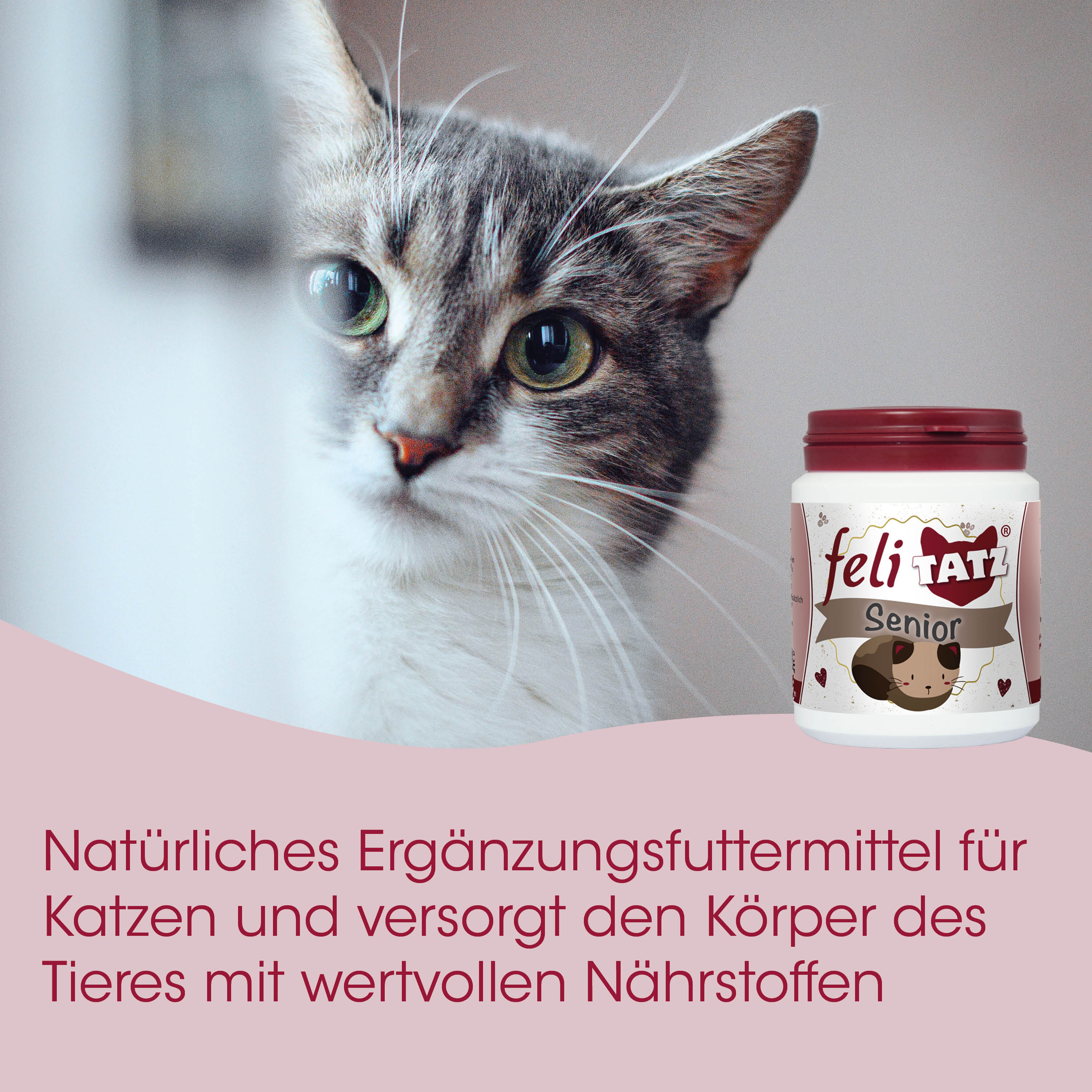 Katzenfutter, Nahrungsergänzung, Seniorenfutter, Nährstoffe, Tierernährung