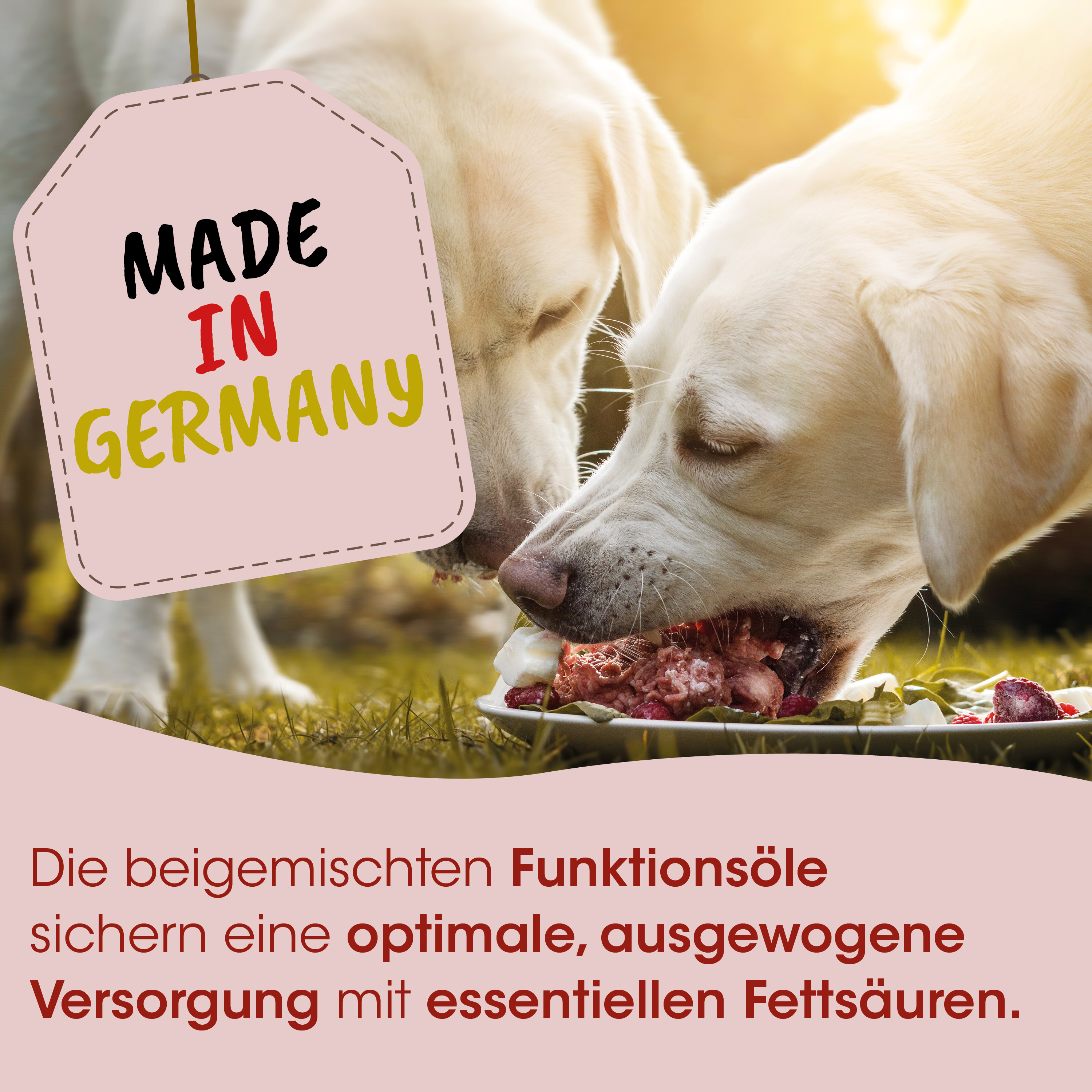 Hunde-Futter, Fleischfutter, Barf-Nahrung, Tiernahrung, Made-in-Germany