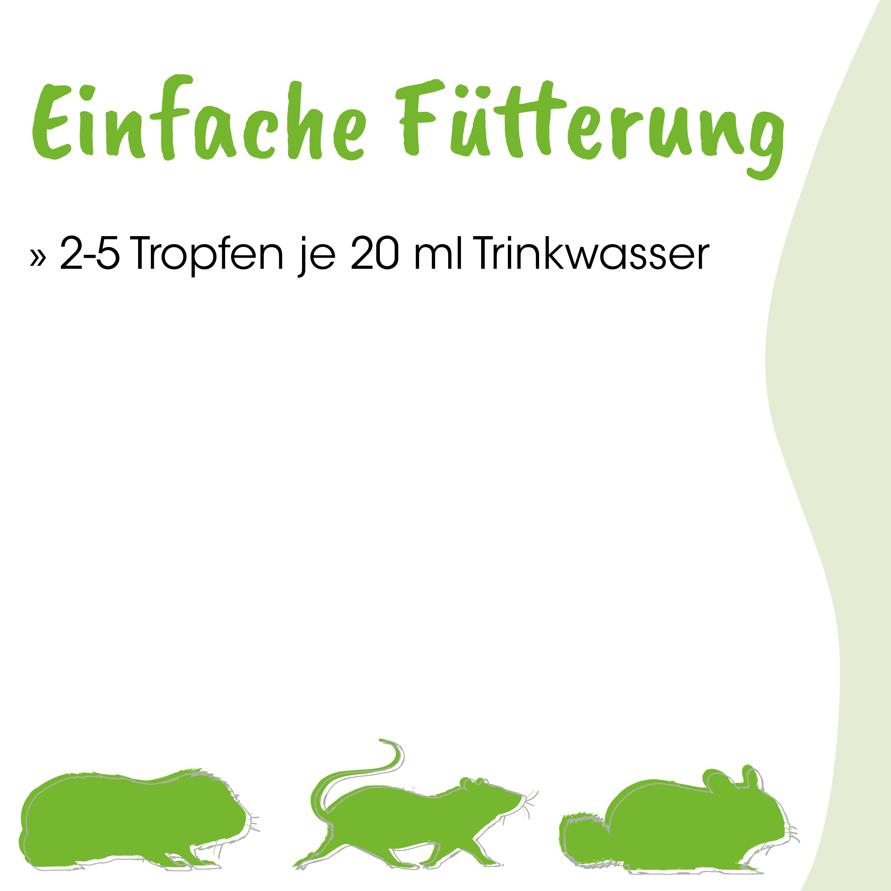glasur, futterung, ecset ratten, miniratten, tierbedarf