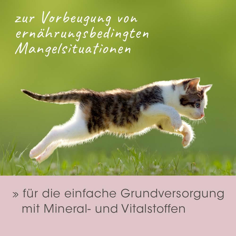 feliTATZ Mineralkraft 150 g