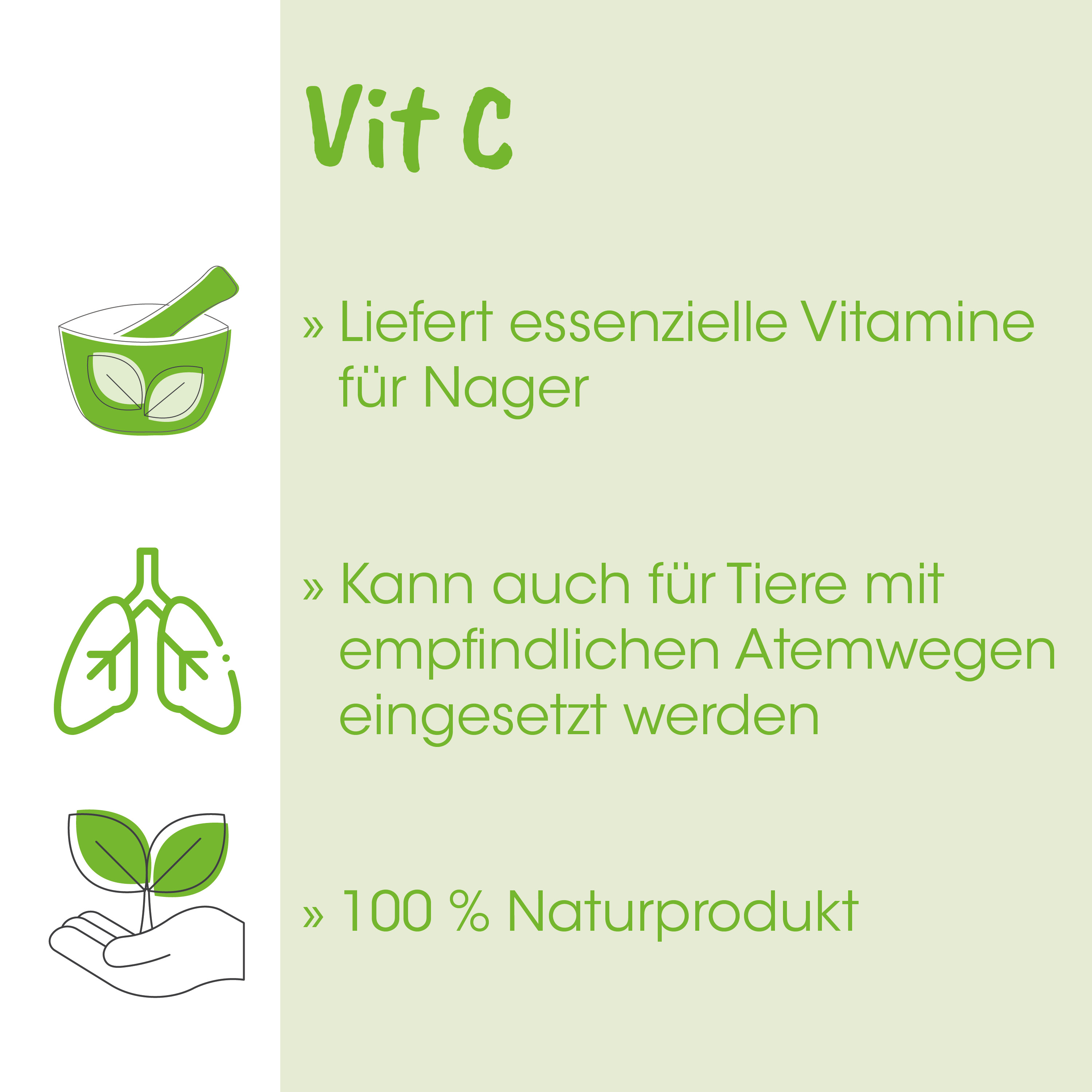 grüner Mörser, Küchenzubehör, Vitamine, Naturprodukt, Löffelstiel
