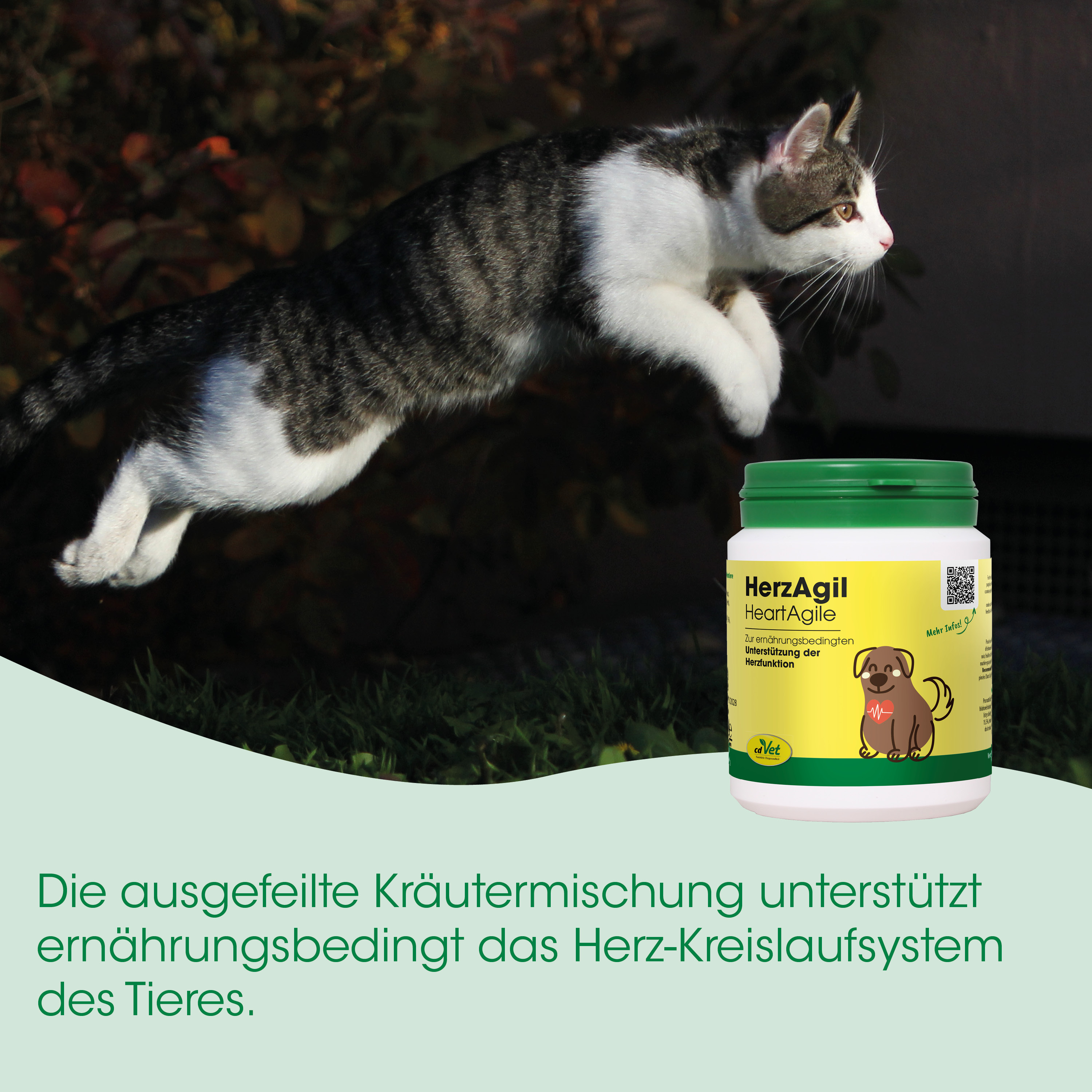 Katzenfutter, Herzgesundheit, Nahrungsergänzung, HerzAgile, Tierarznei