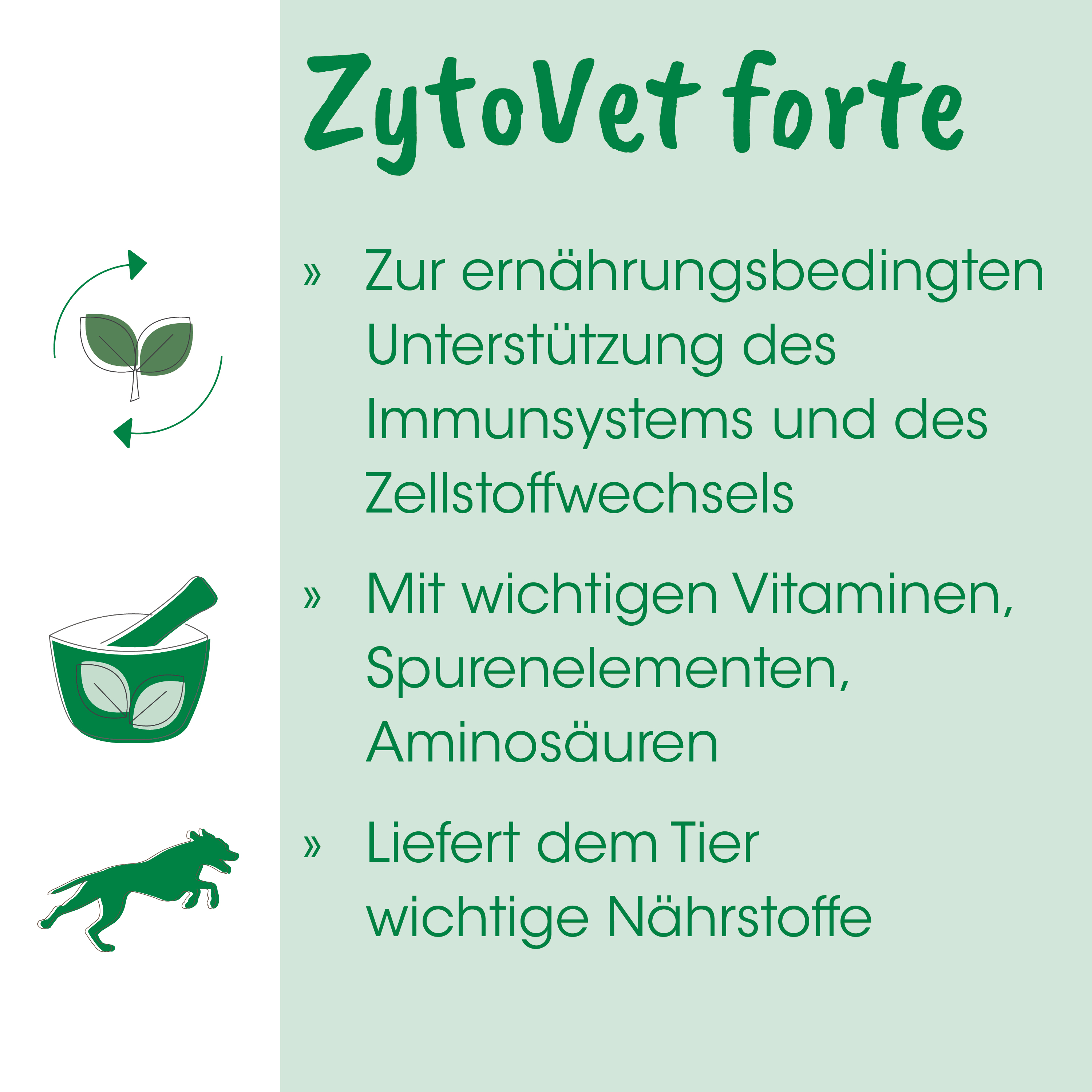 ZytoVet forte 500 g