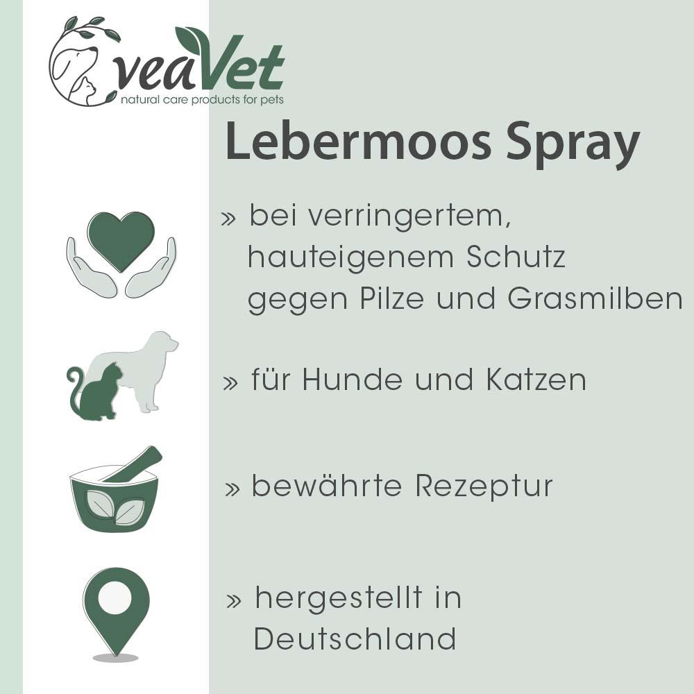 Shopbild