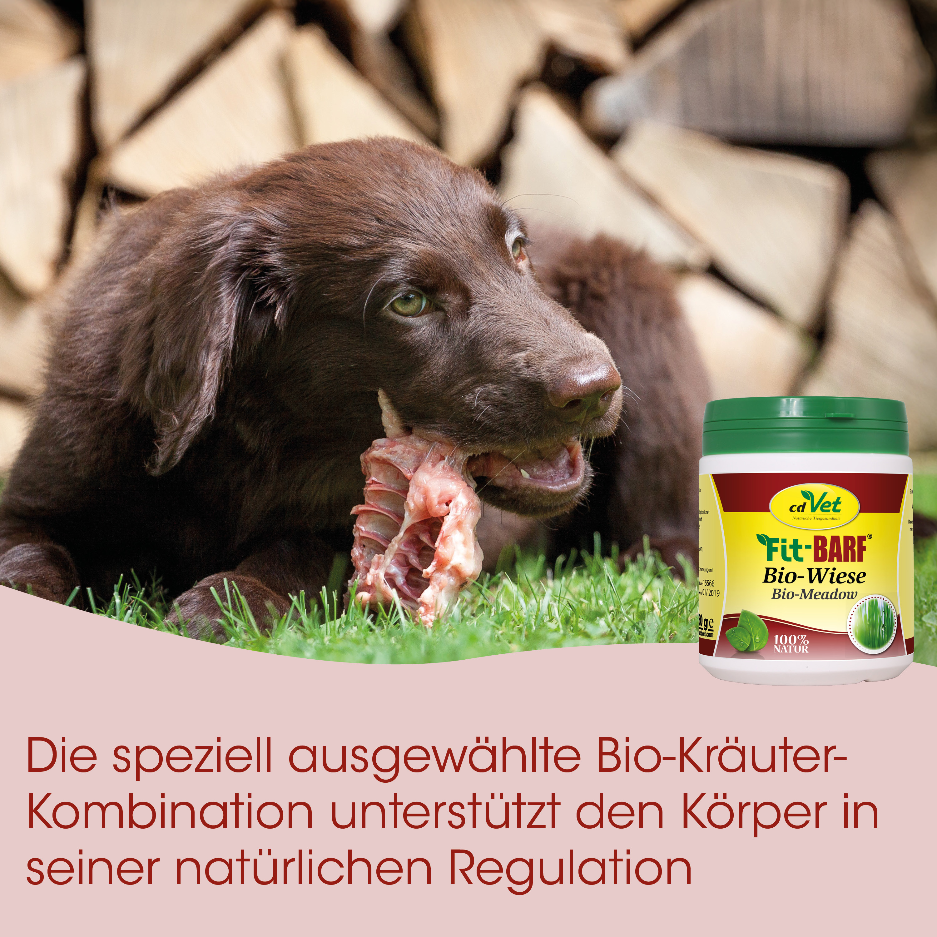 Hund, Kauknochen, Hundefutter, Bio-Kräuter, Weide/Meadow