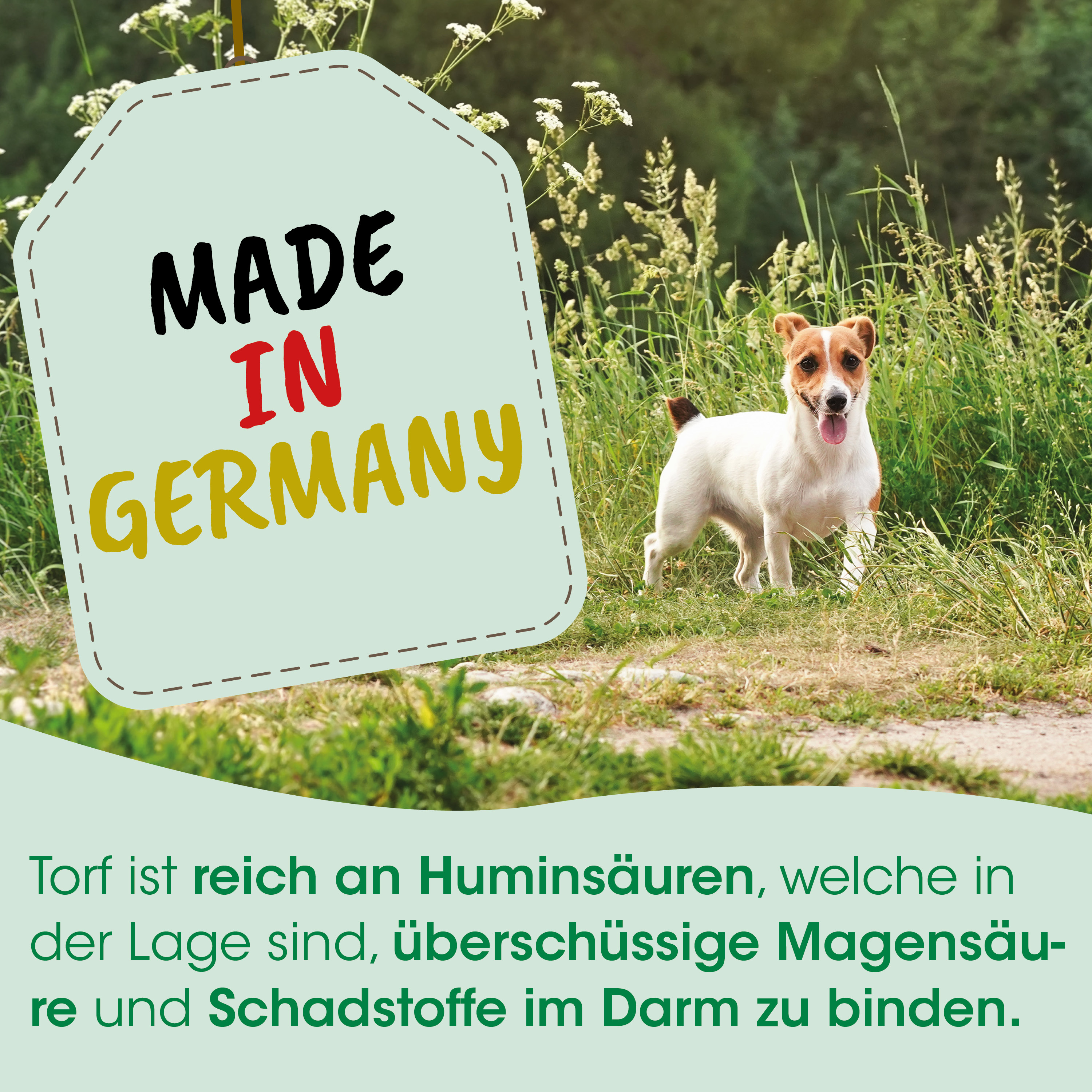 Hund, Kartonaufkleber, Made in Germany, Grünes Feld, Graspfad