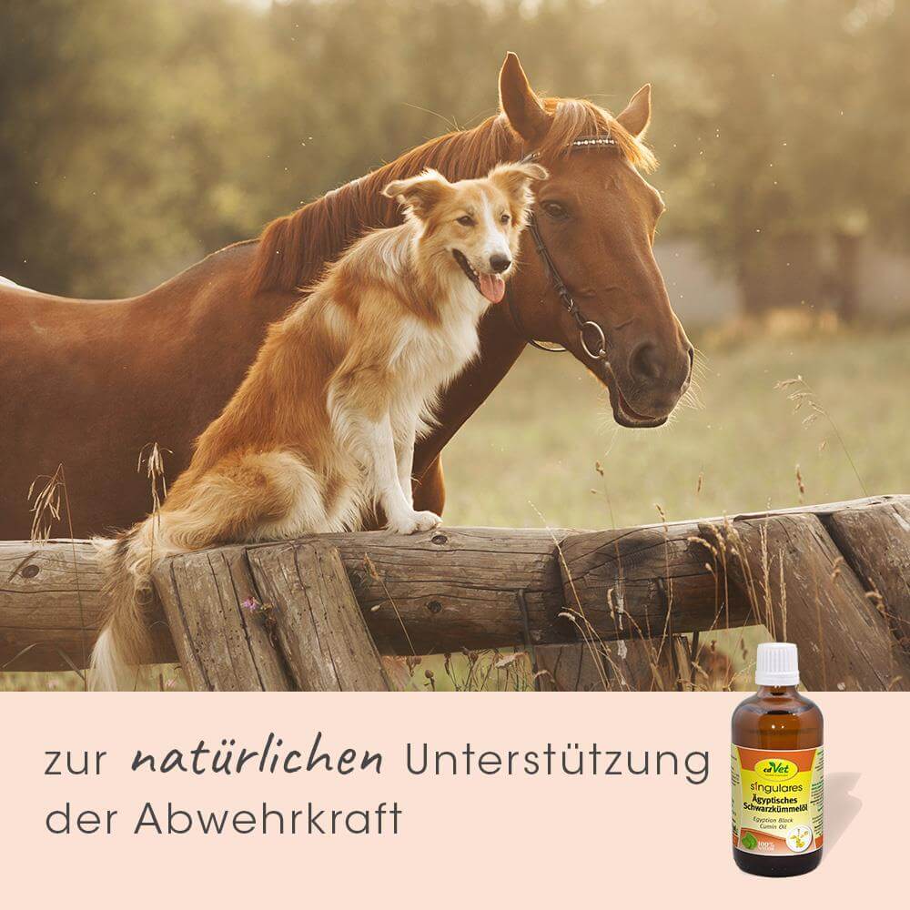 Shopbild