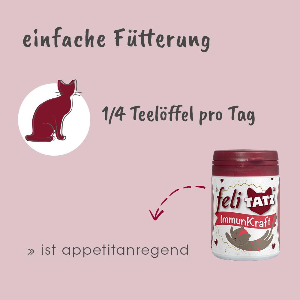 Shopbild Krug, Tier, Bär, Säugetier, Tierwelt
