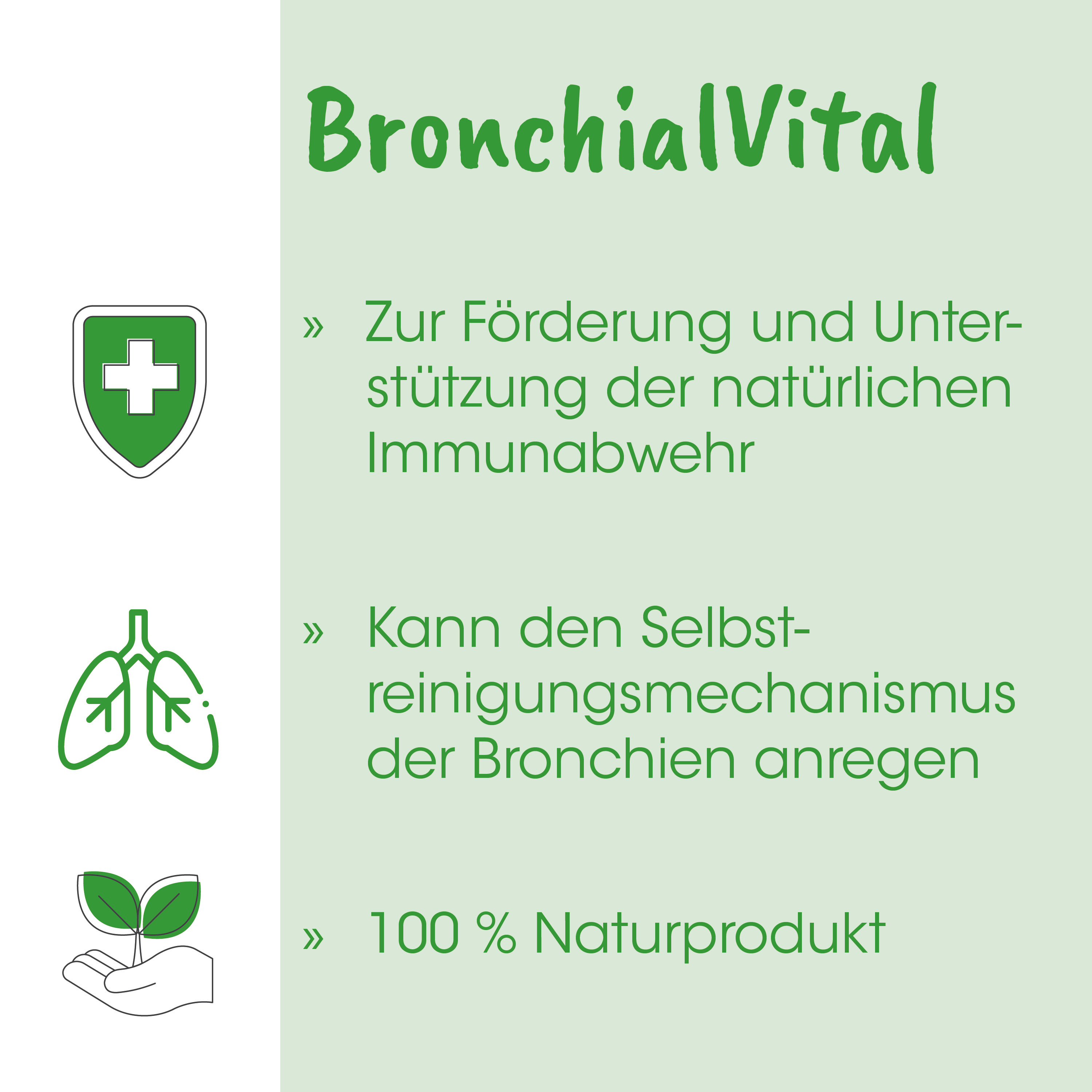 Naturprodukt, Natürliches Produkt, Grünes Design, Öko, Handheld-Icon