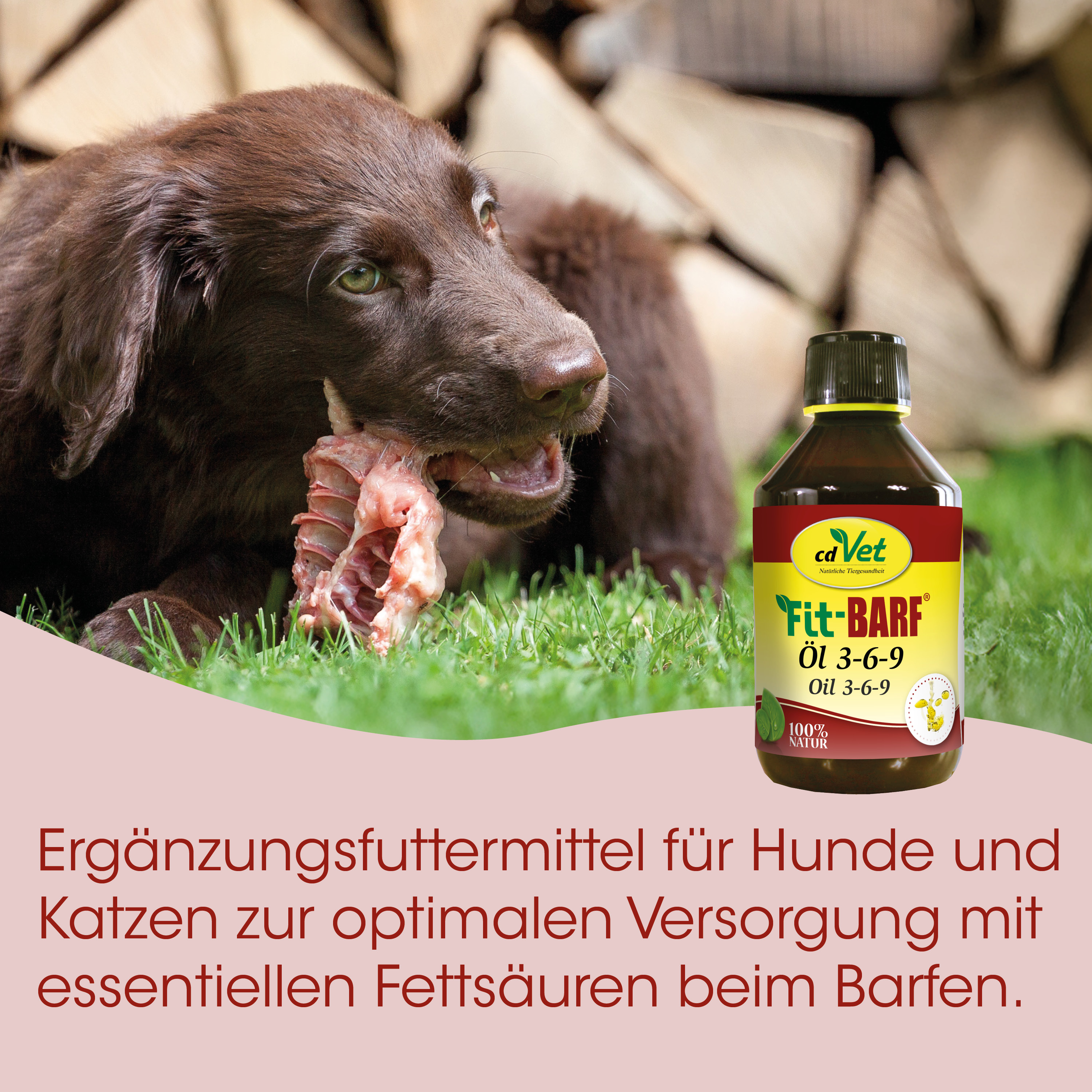Hund, Hundefutter, Fleischknochen, Knochenstück, Ölflasche
