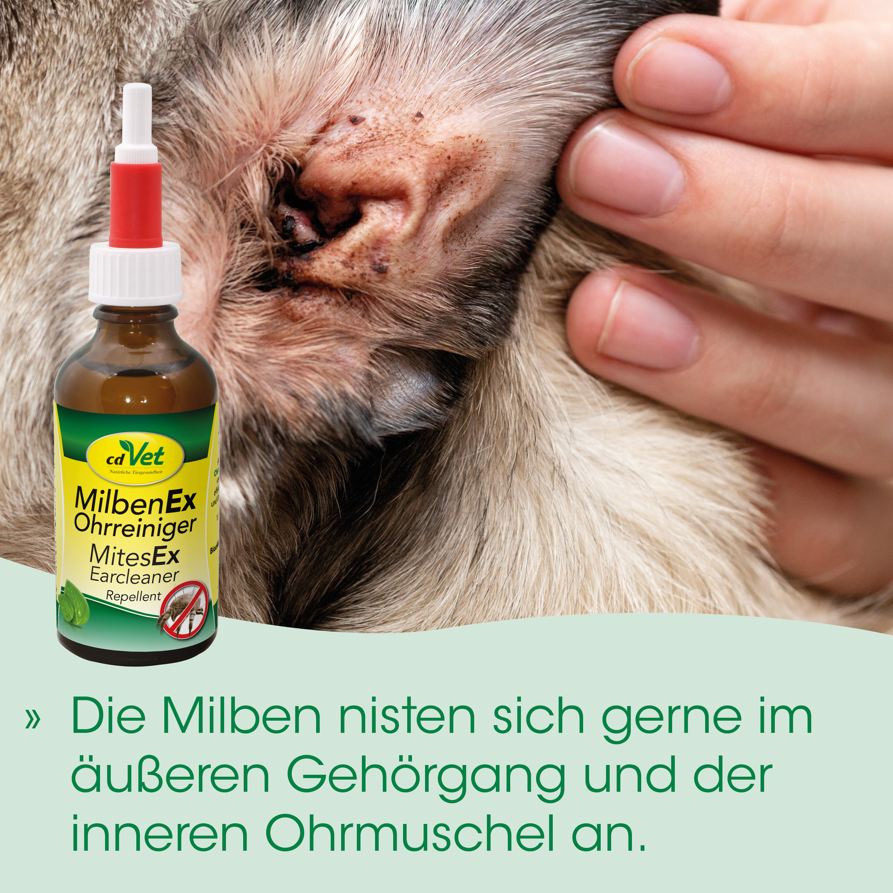 Ohrenreiniger, Augentropfen?, Ohrenpflege, Repellent, Flasche mit Tropfer