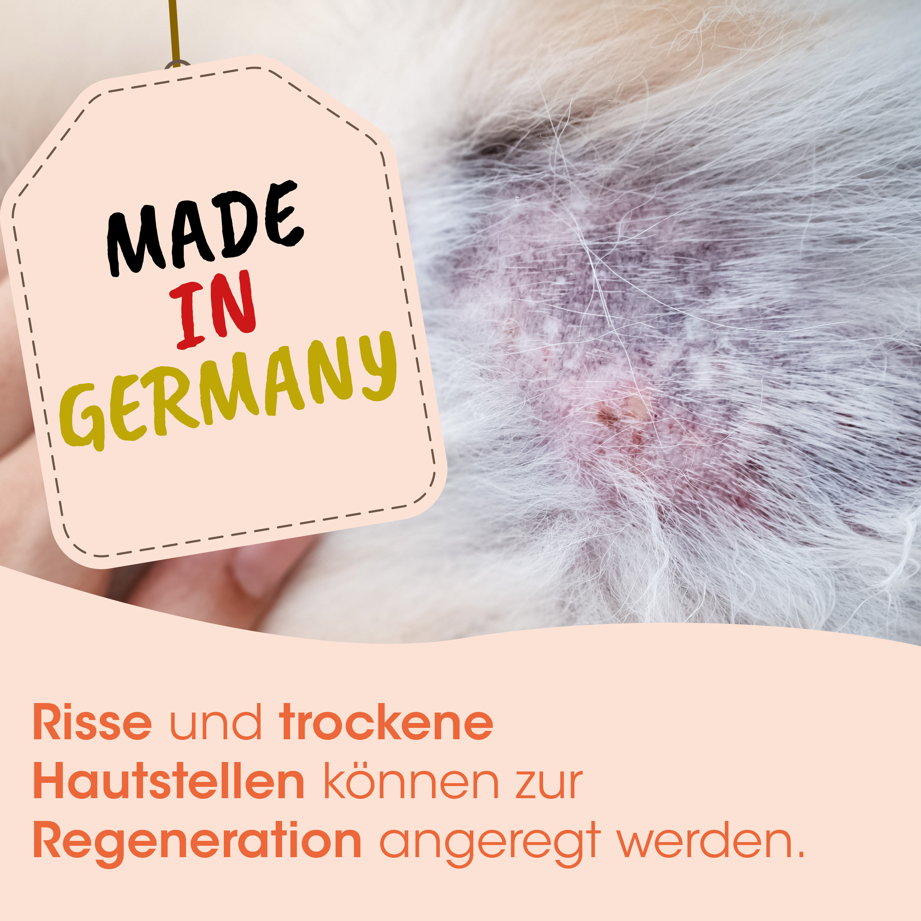 made in germany, tag, haut, ausschlag, tierarzt