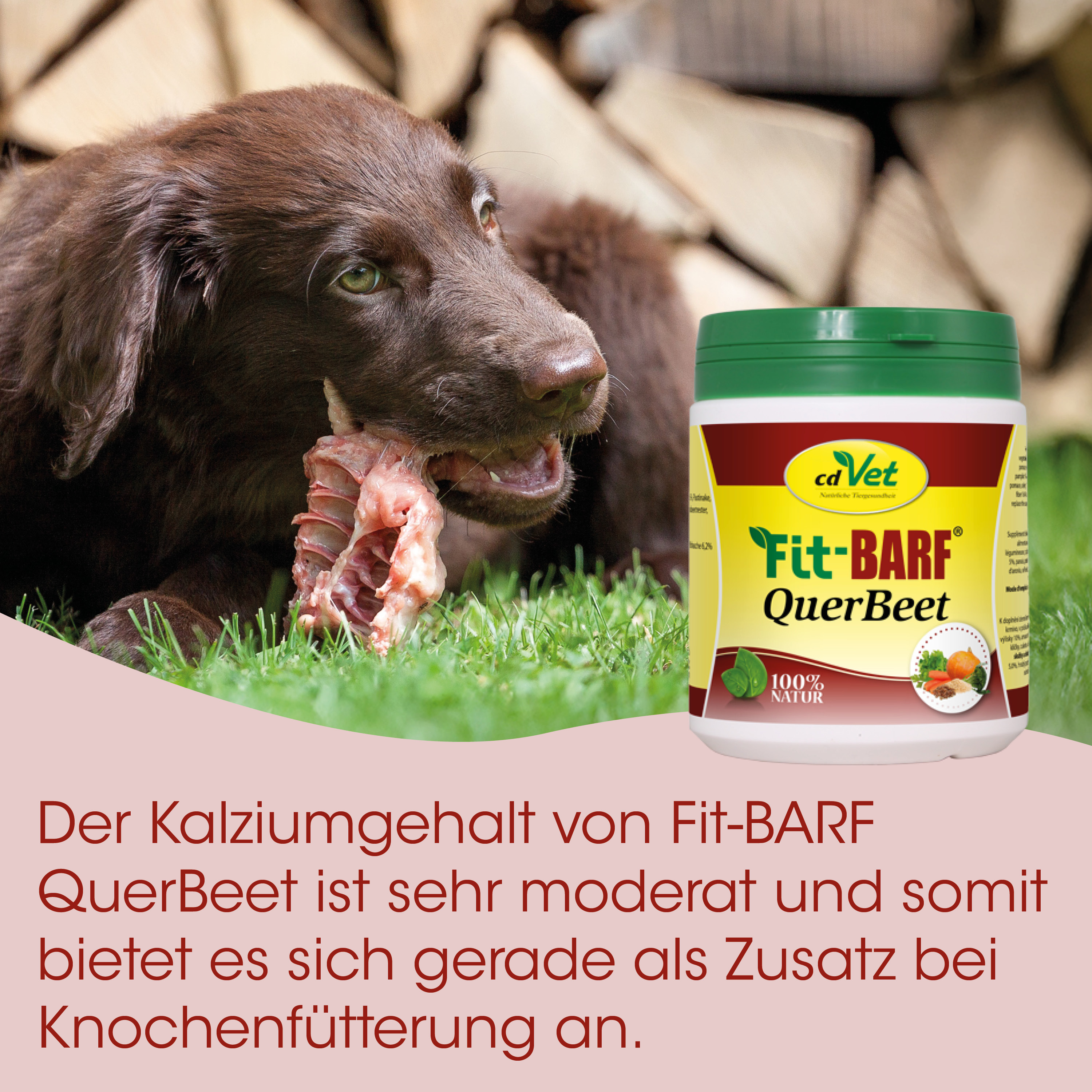 Hund, Knochen, Knochenfleisch, Hundefutter, Ergänzung