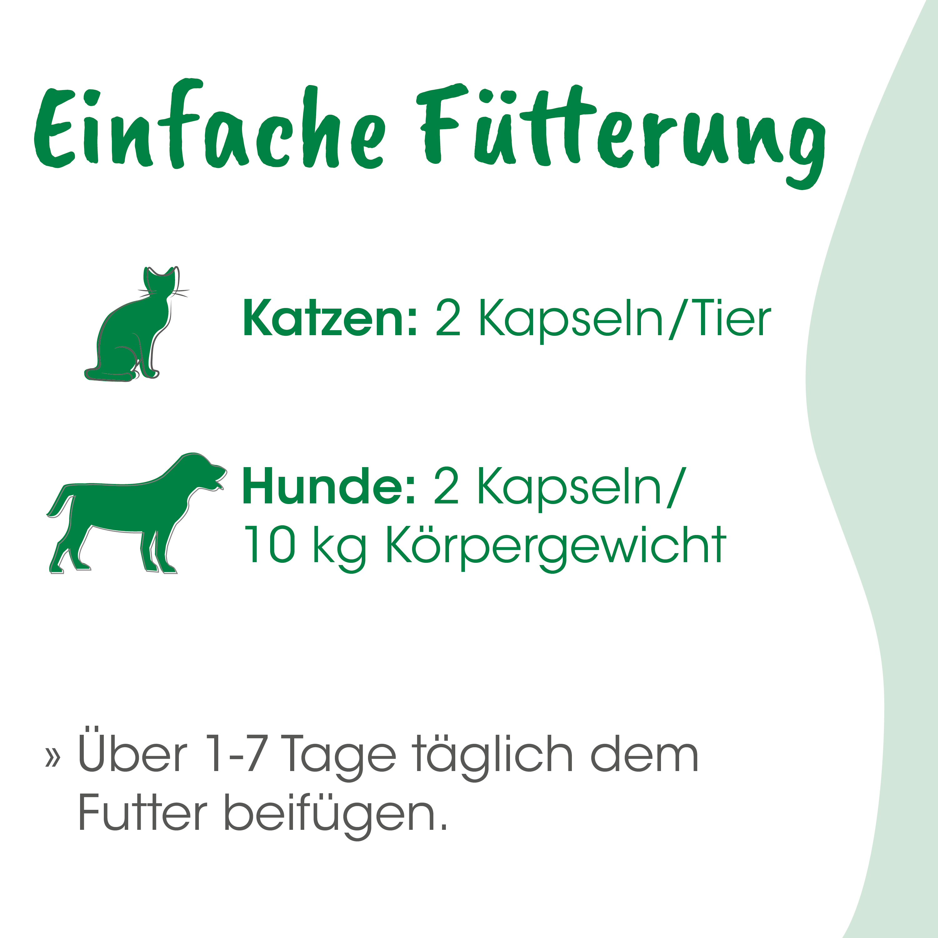 Katzenfutter, Katzennahrung, Katzenportionen, Tierfutter, Hunde- und Katzenfutter