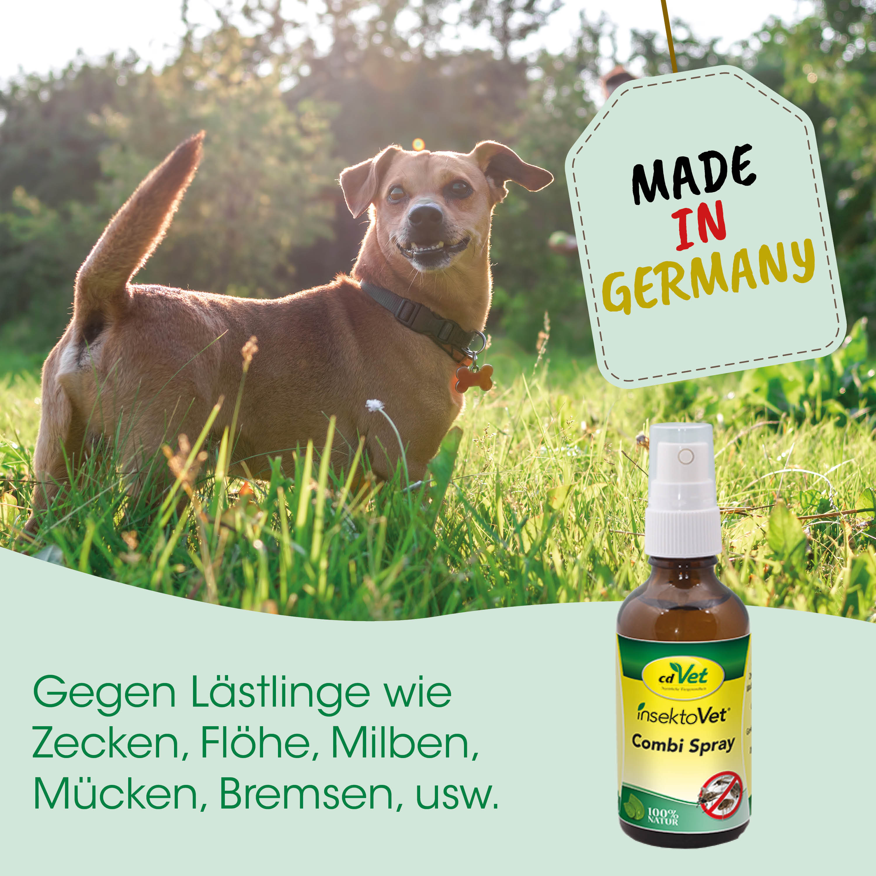 hund, halsband, draußen, spray, made in germany