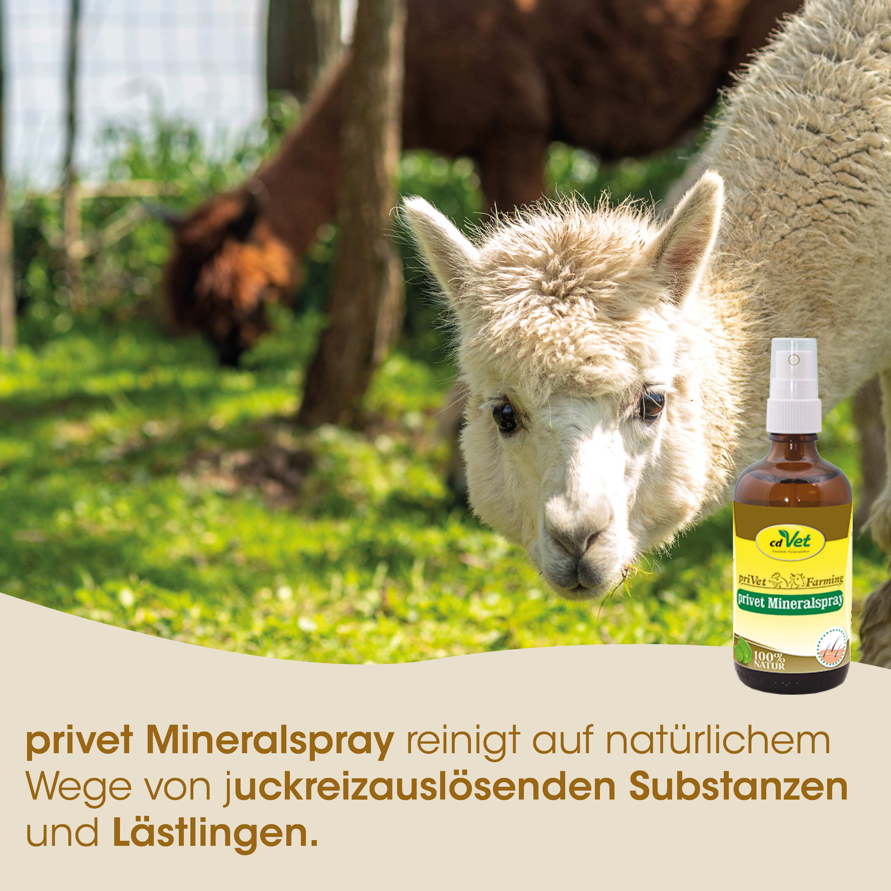 Lama, Mineral-Spray, Naturrein, Tierarzt, Tierpflege